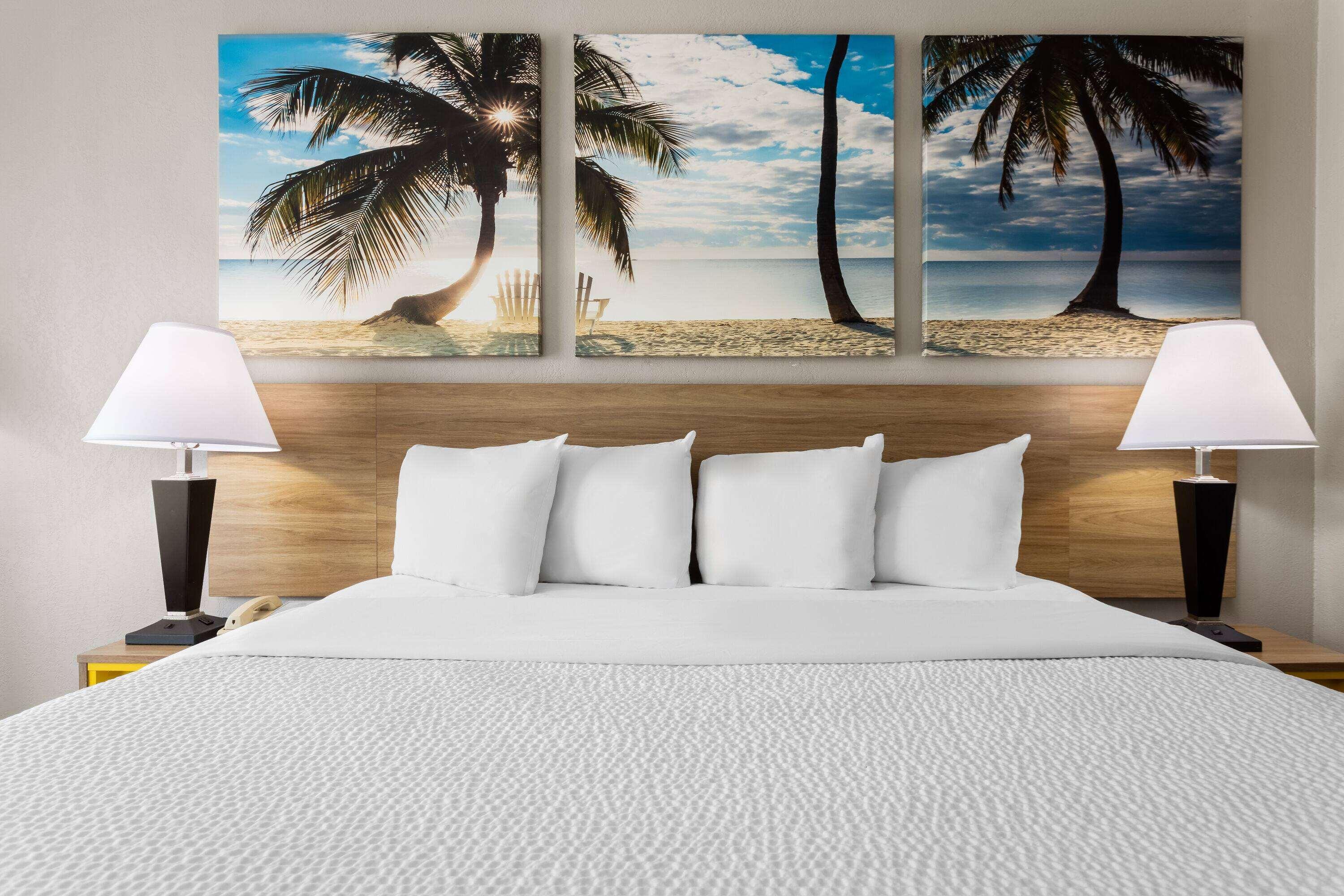 Double King Bed Non Smoking