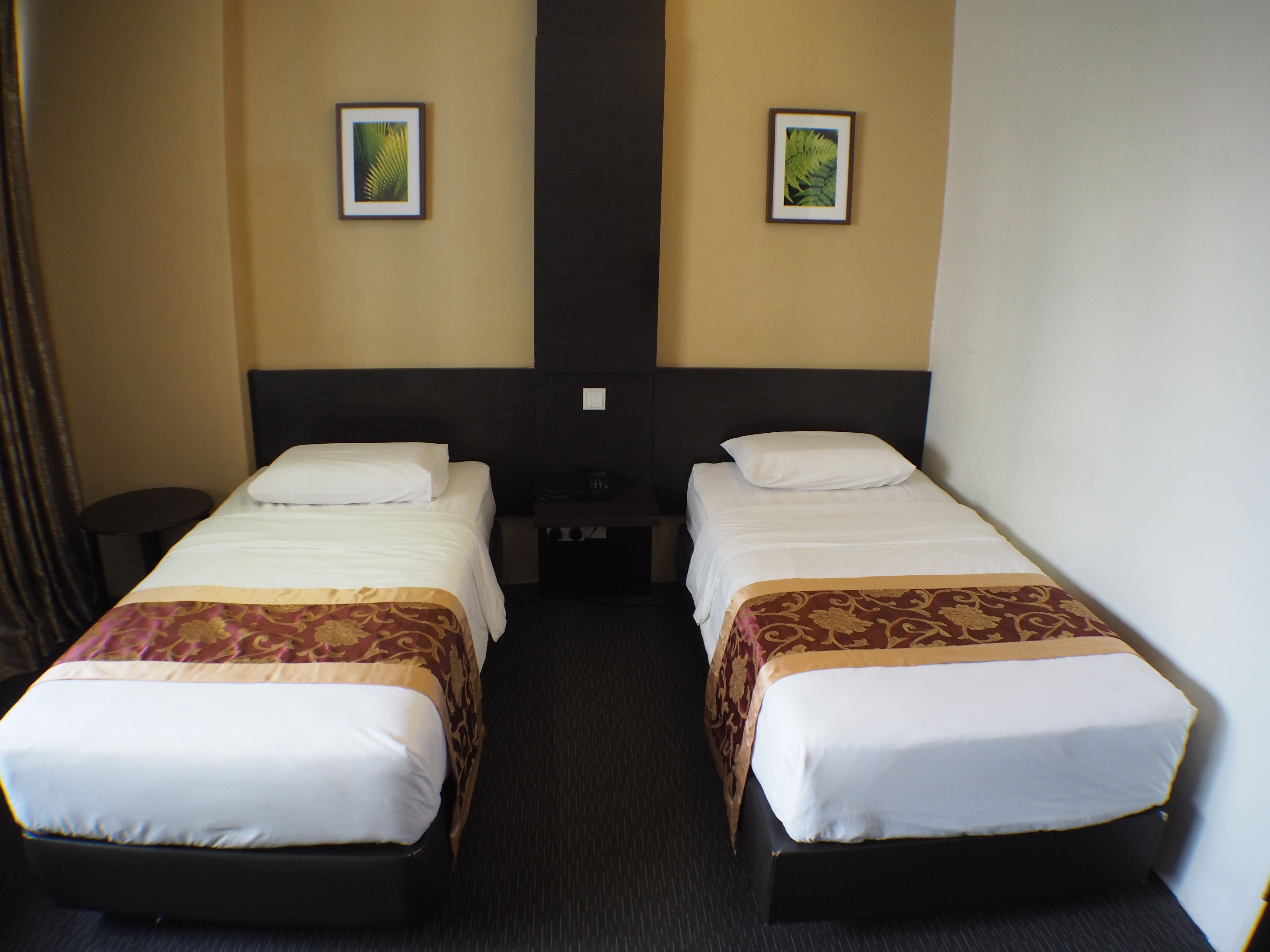 Double or Twin Standard