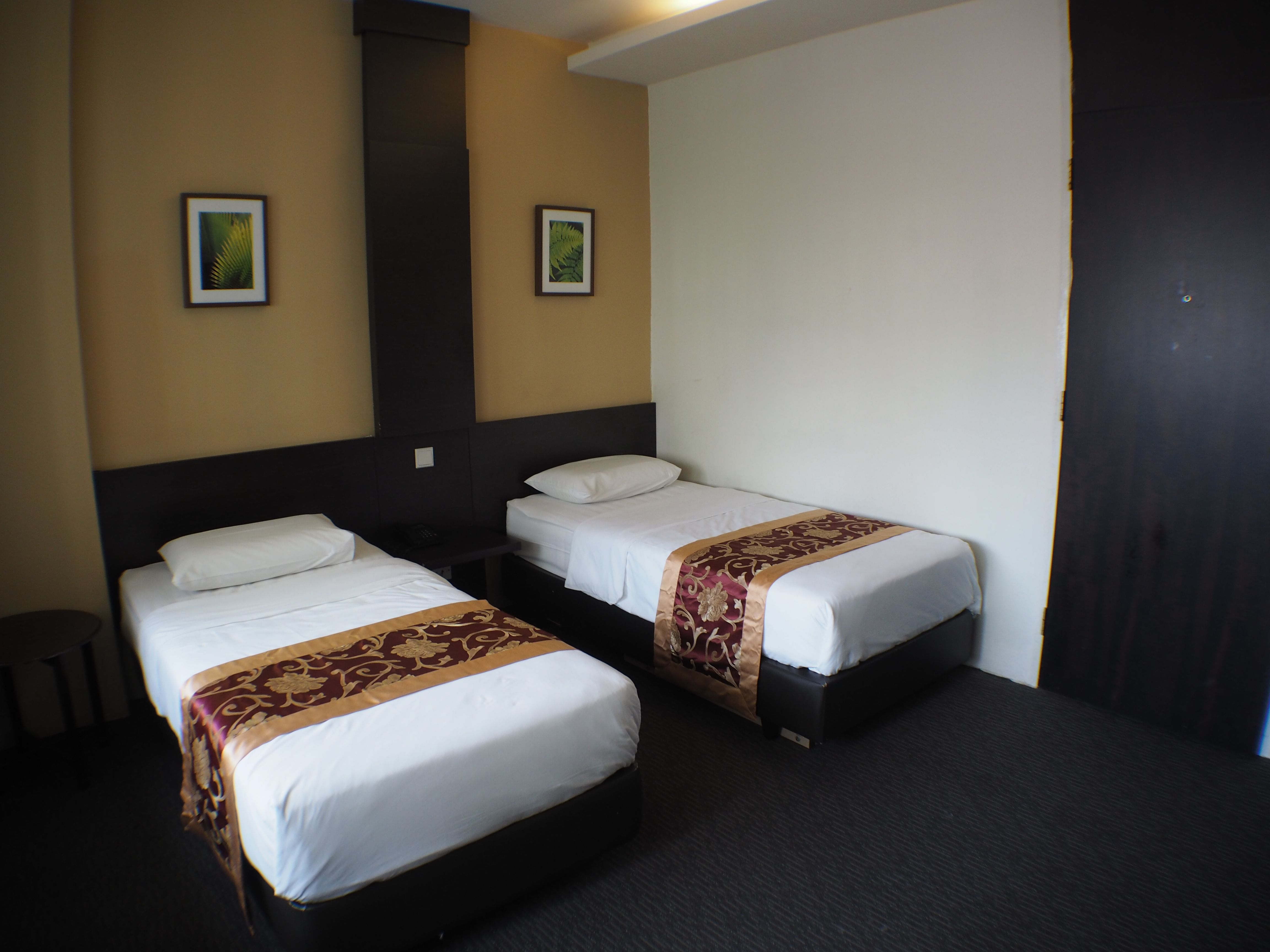 Double or Twin Standard