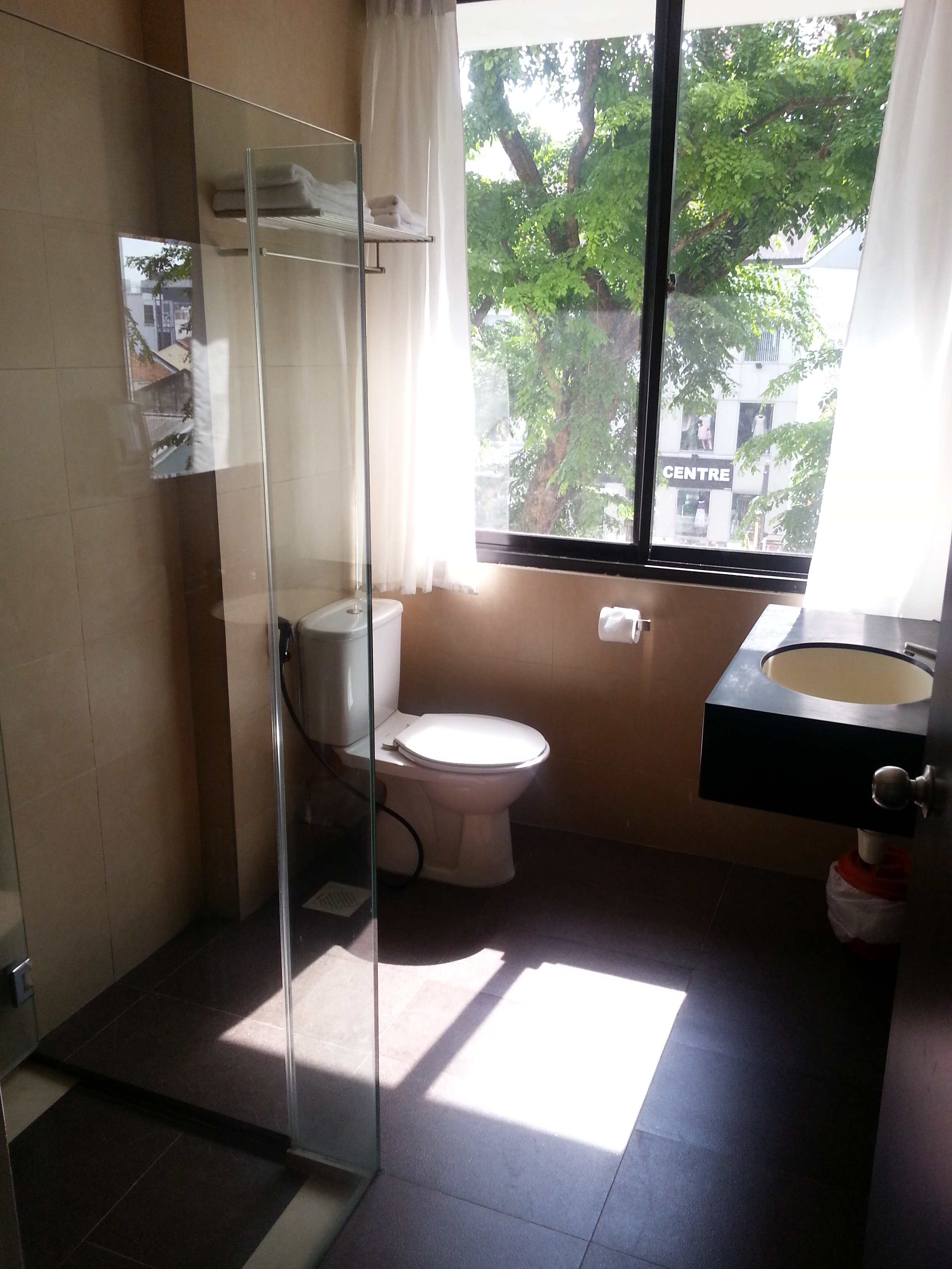 Double or Twin Standard