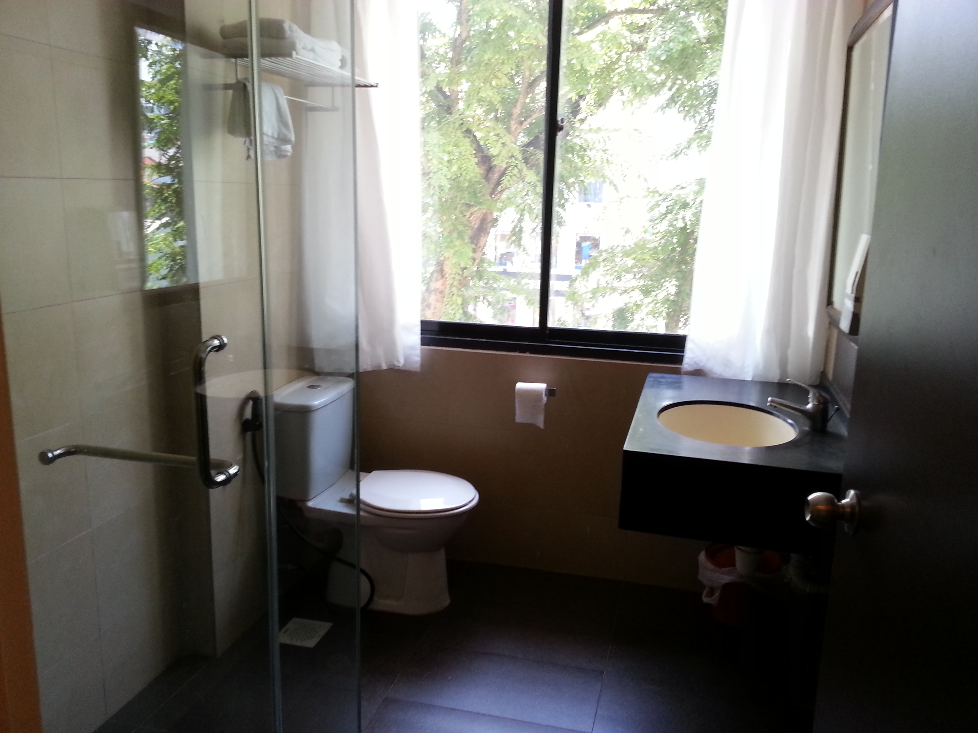 Double or Twin Standard