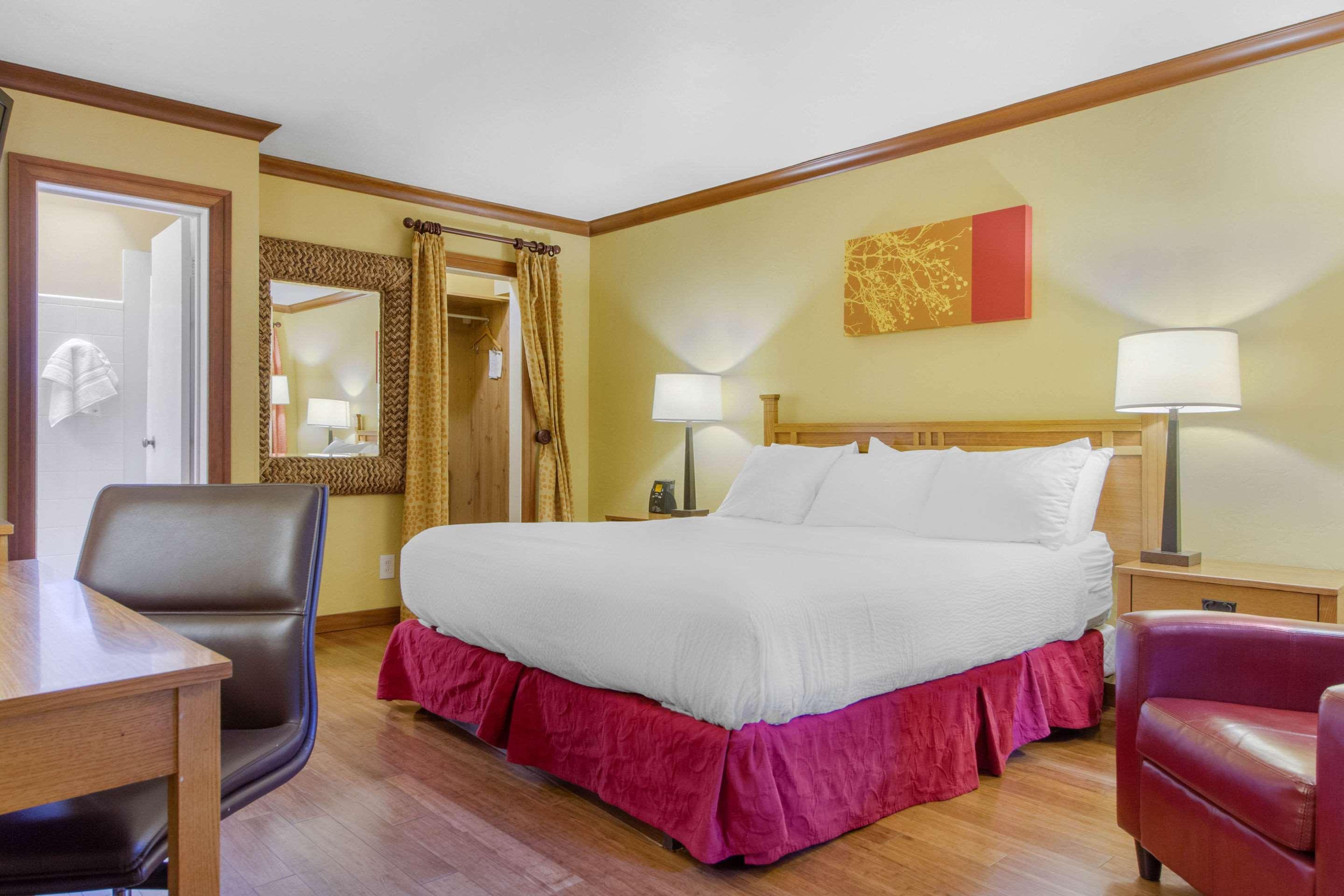 Suite King Bed Non Smoking