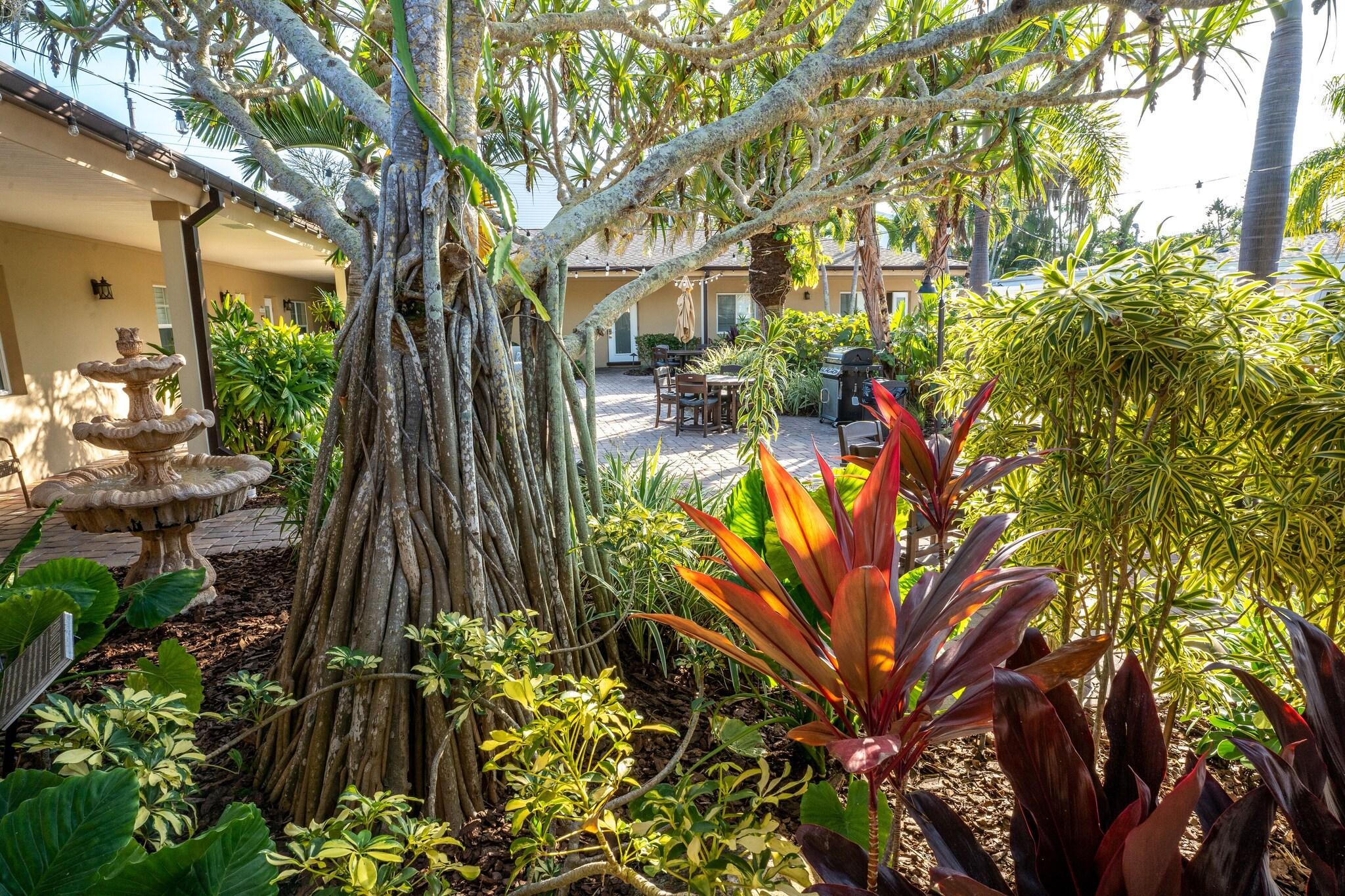 Studio Premium King Bed