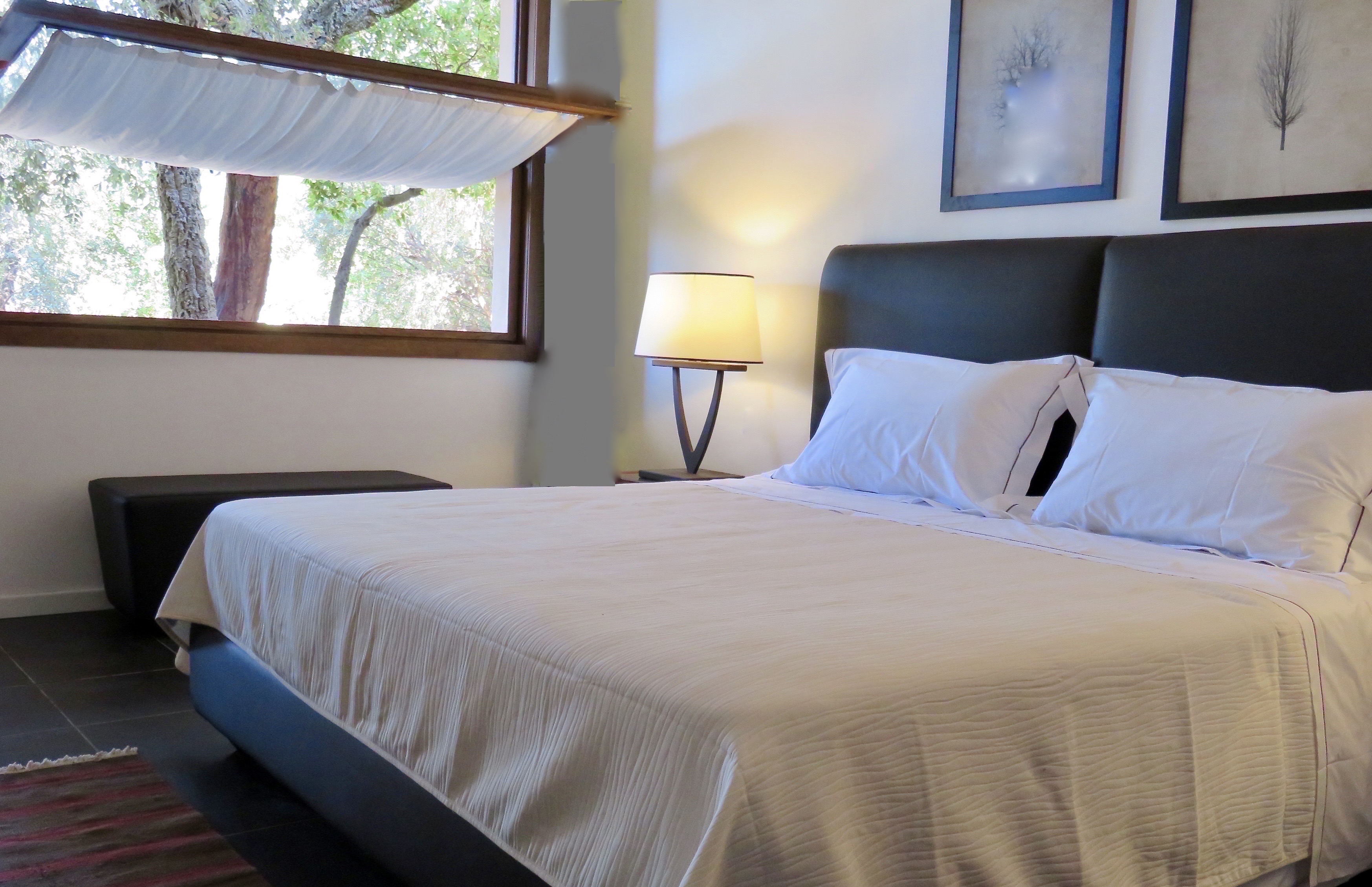 Double or Twin Deluxe