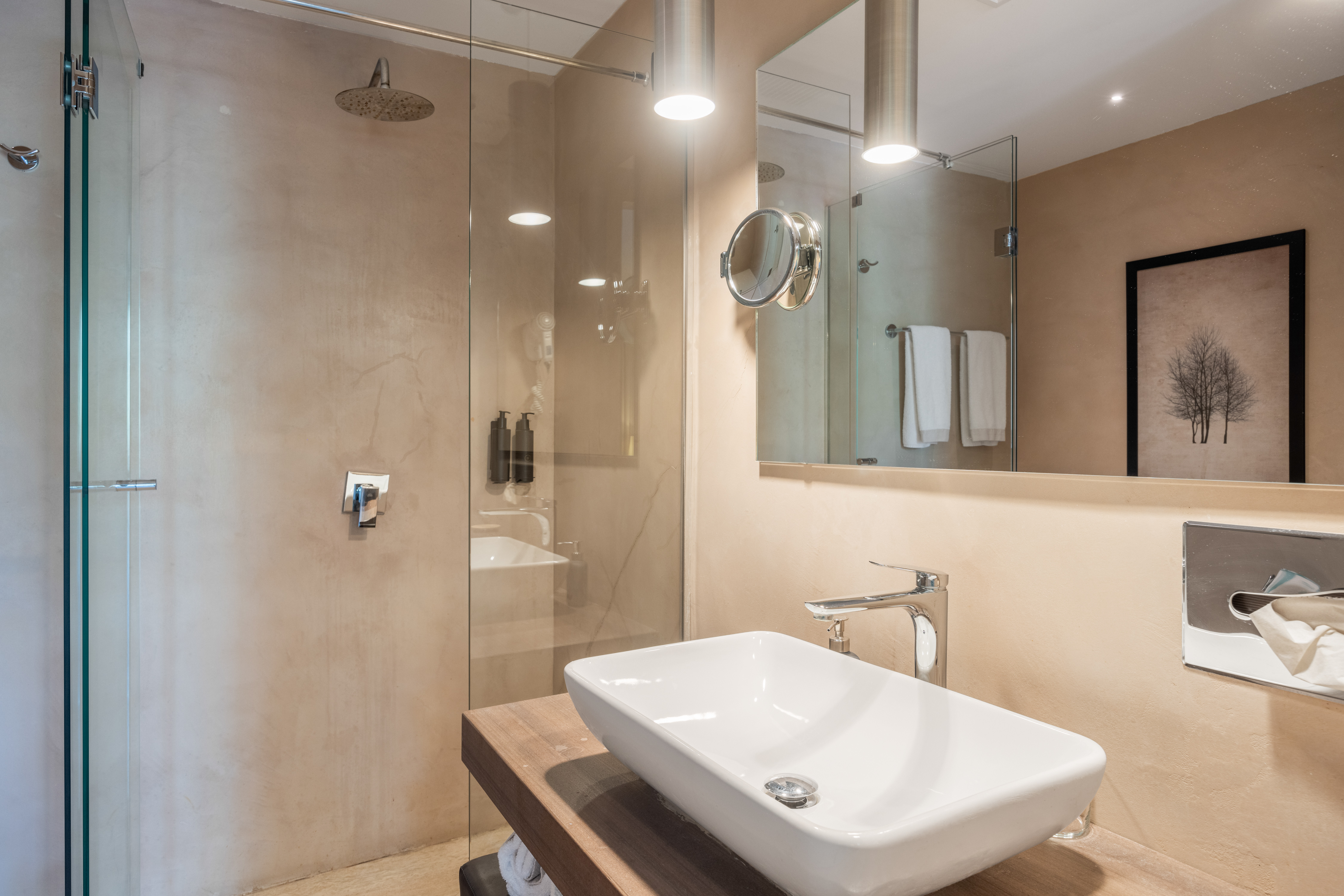 Double or Twin Executive