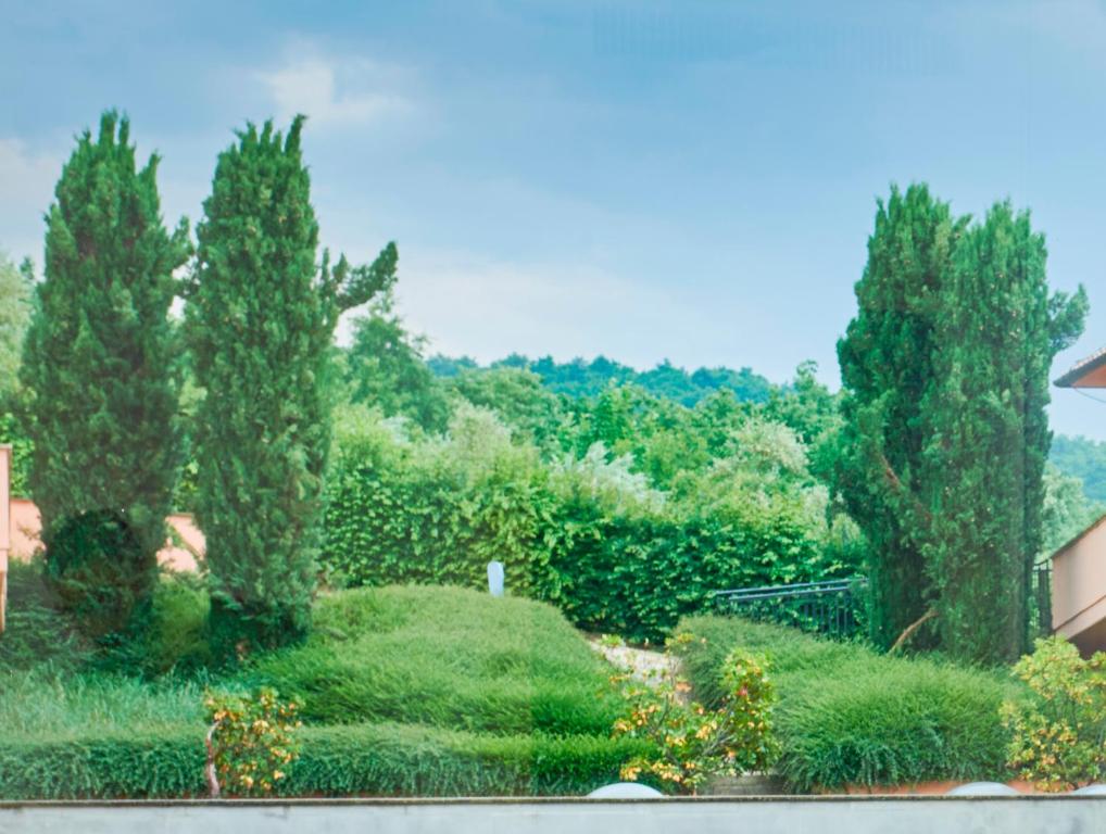 Room Superior with Balcony