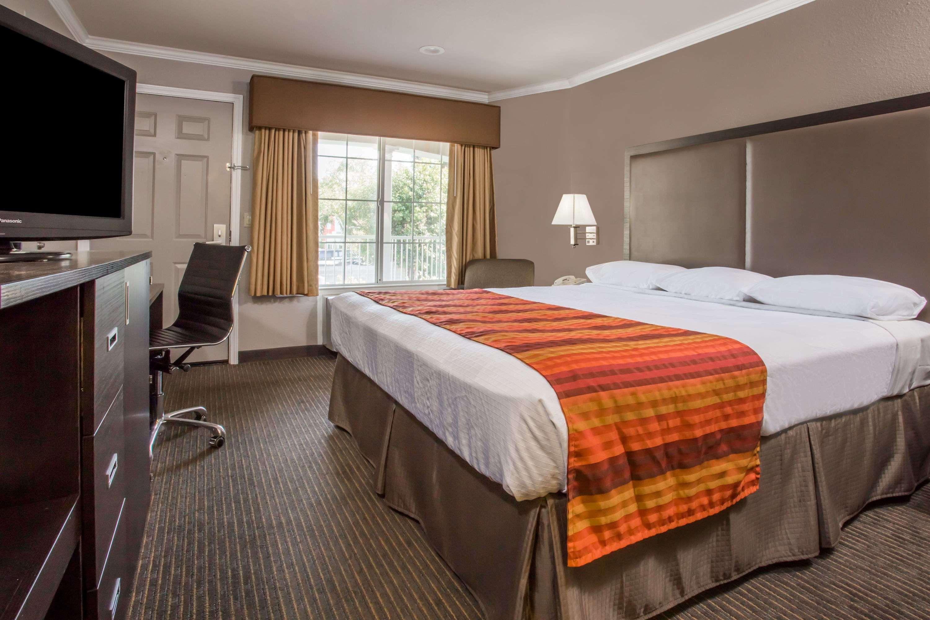 Double King Bed Non Smoking