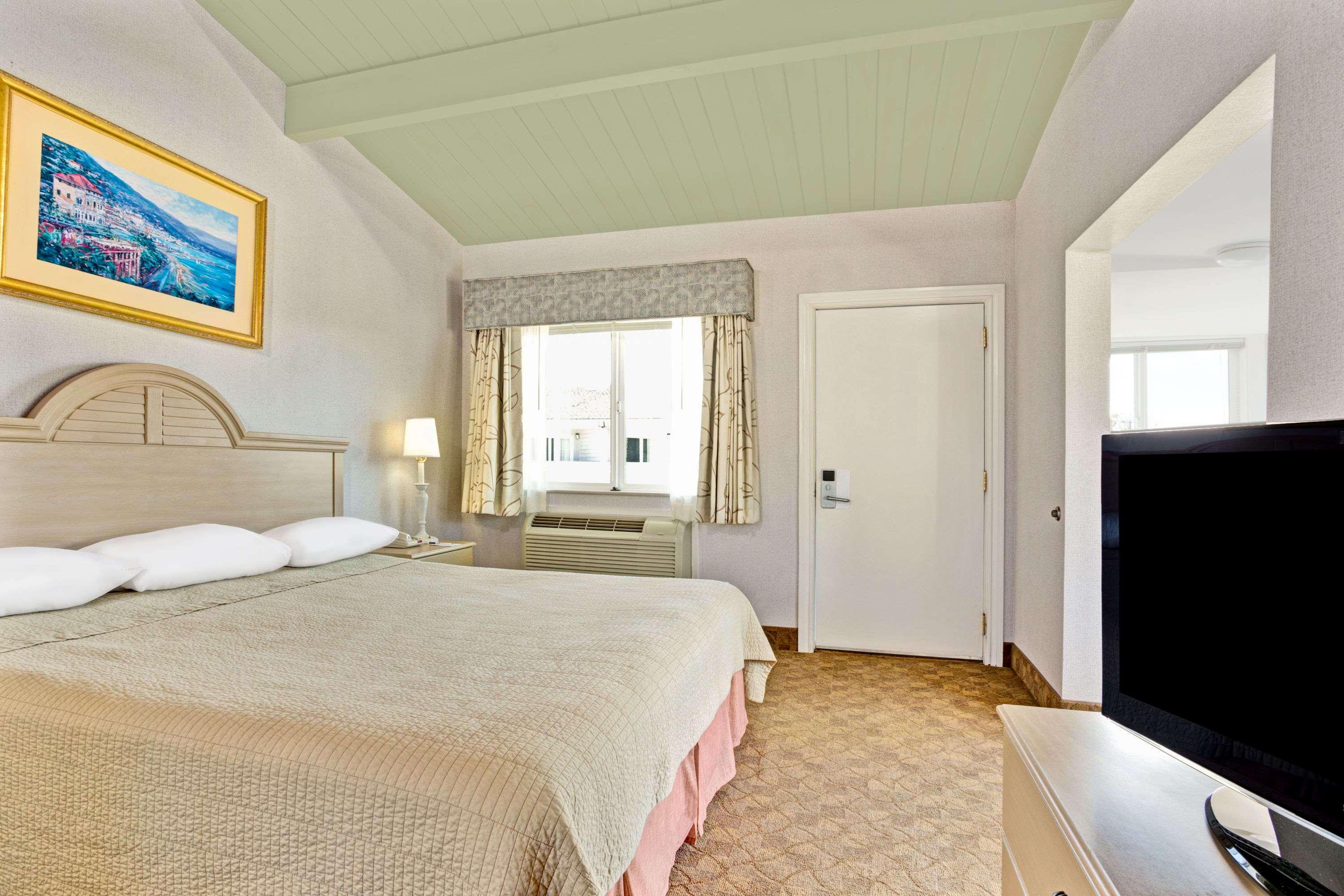 Suite King Bed Non Smoking