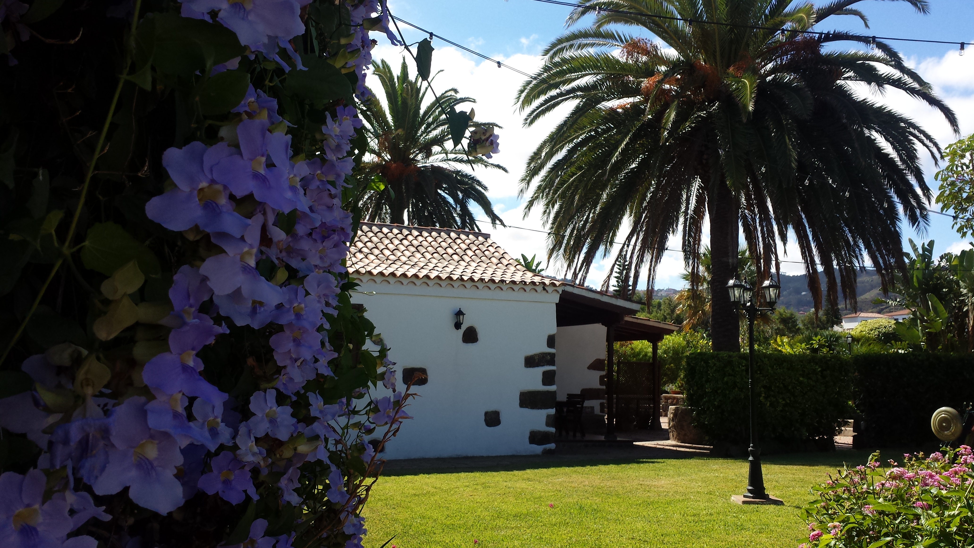 Apartment One Bedroom