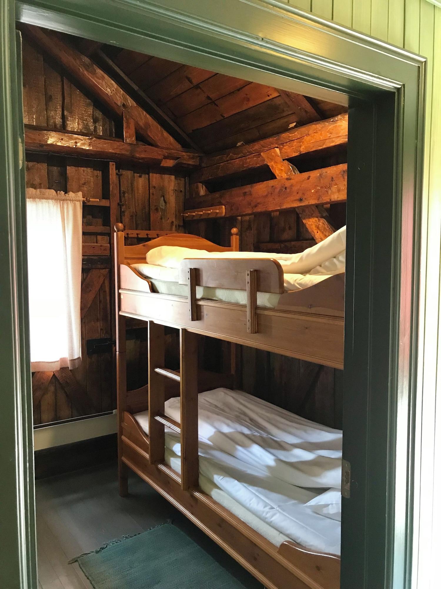 Family Room Bunk Bed