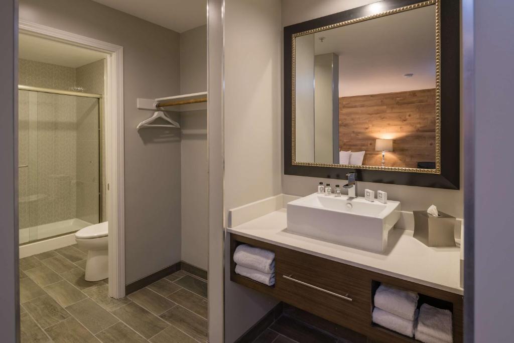 Room Accessible King Size Bed