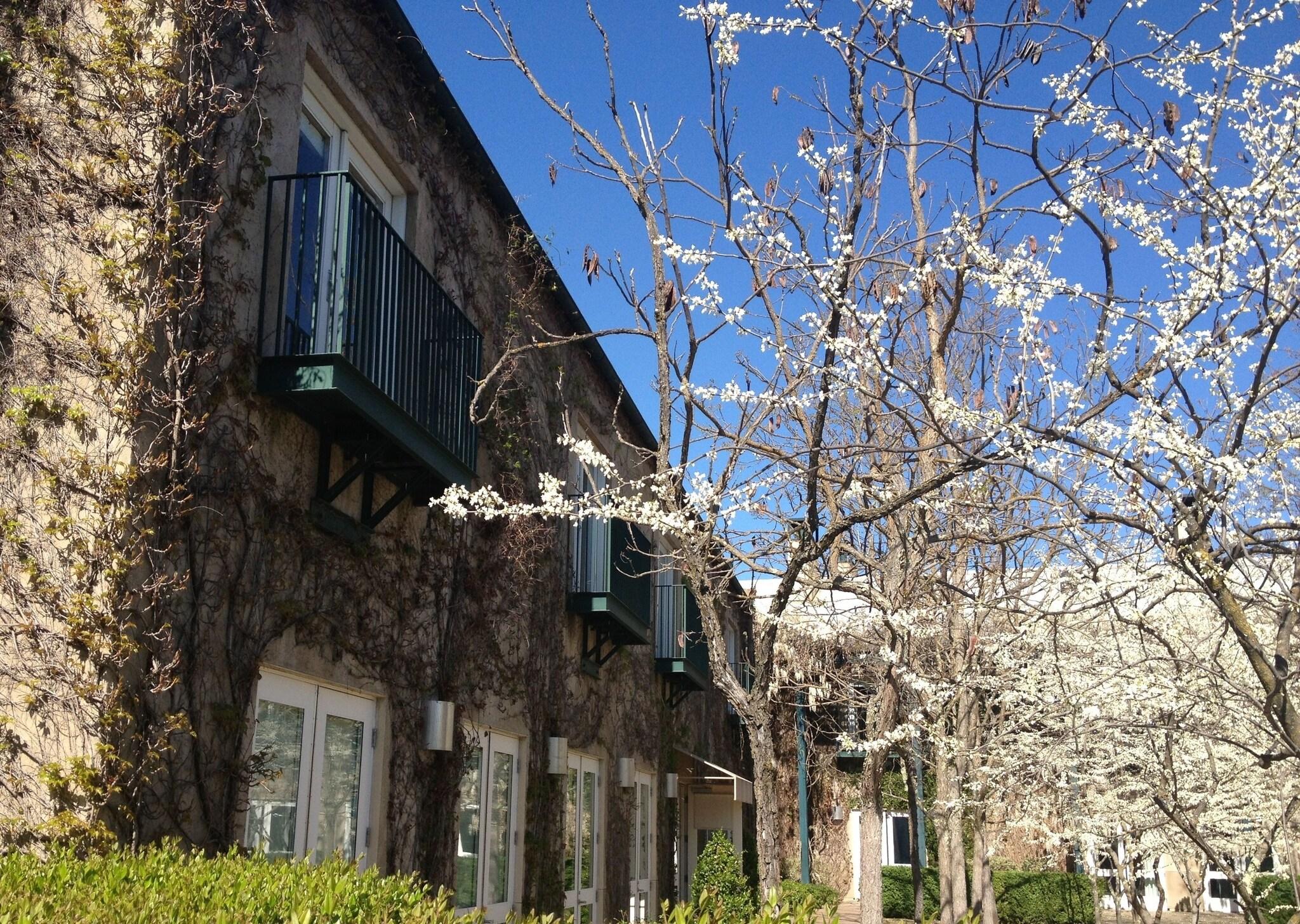 Double Accesible Deluxe 