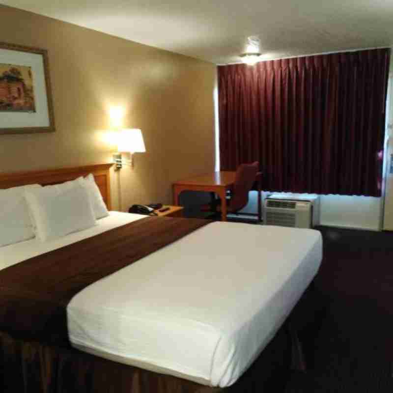 Double King Bed Non Smoking