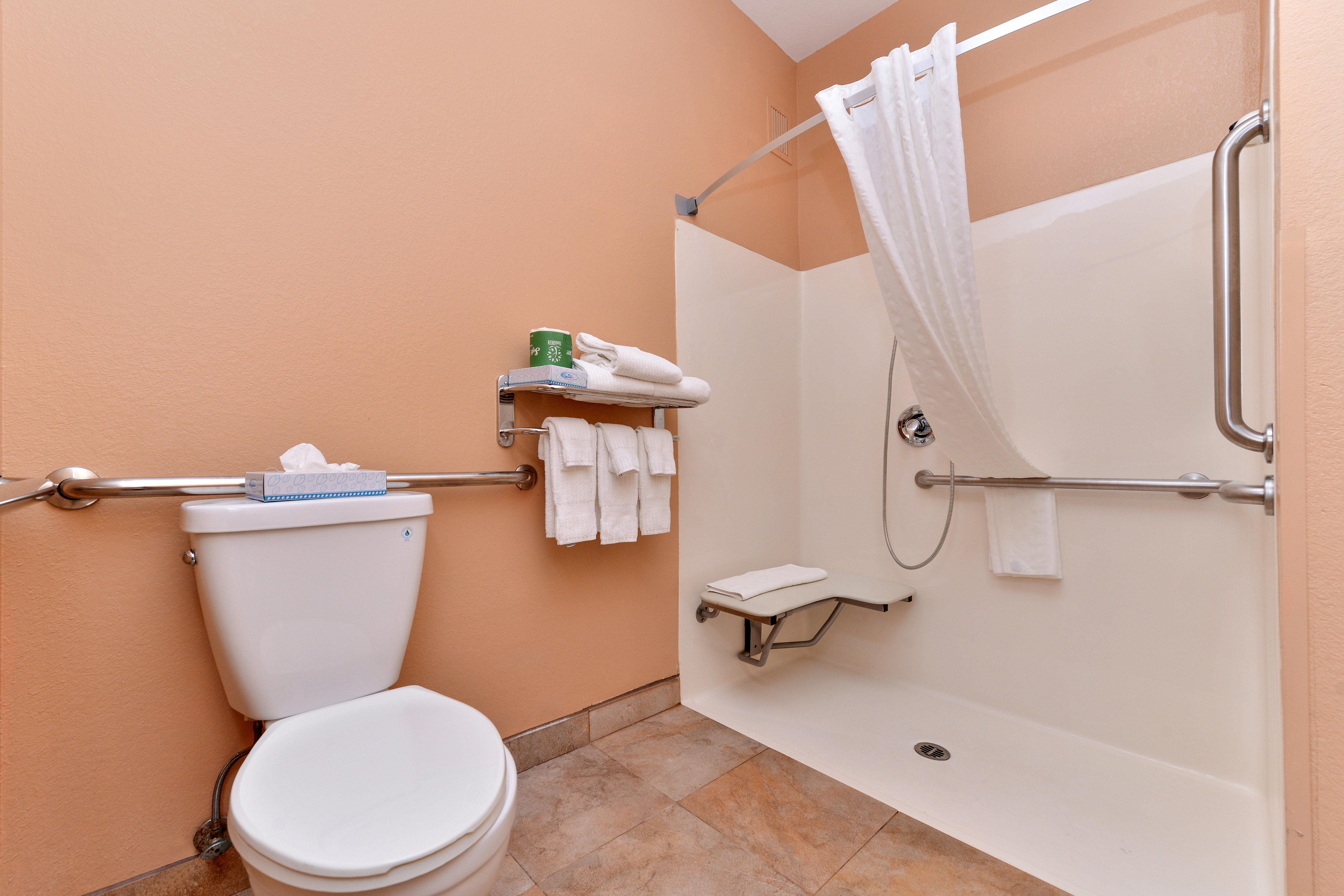 Suite Accessible-queen Size Bed