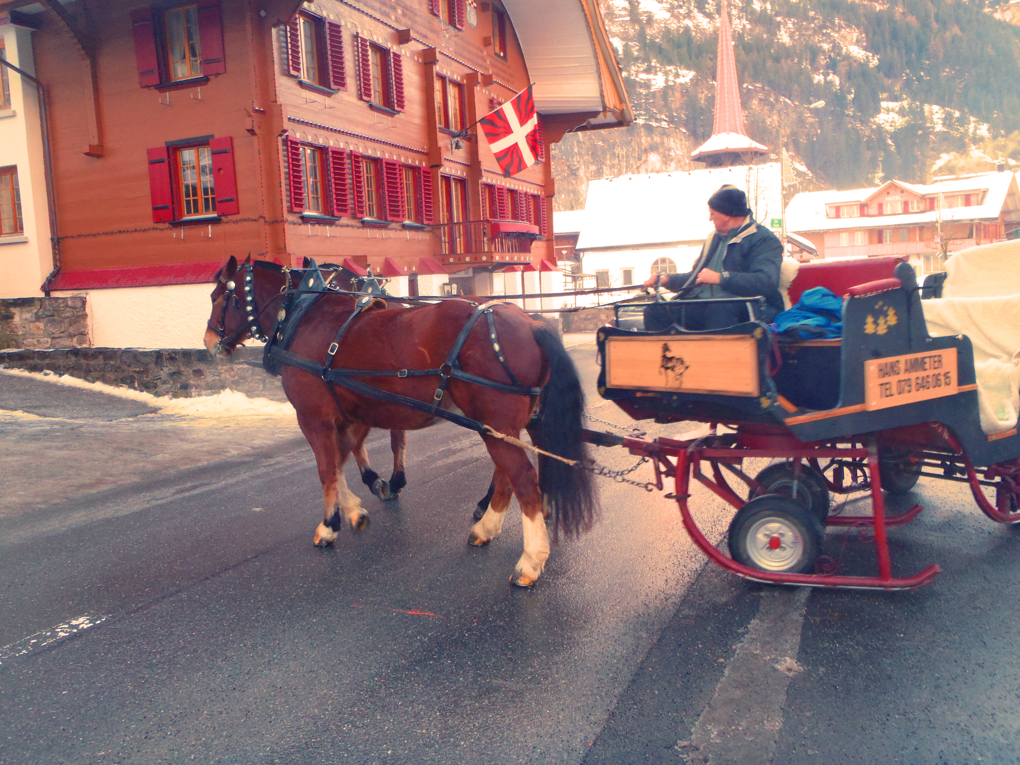 Sports and Entertainment