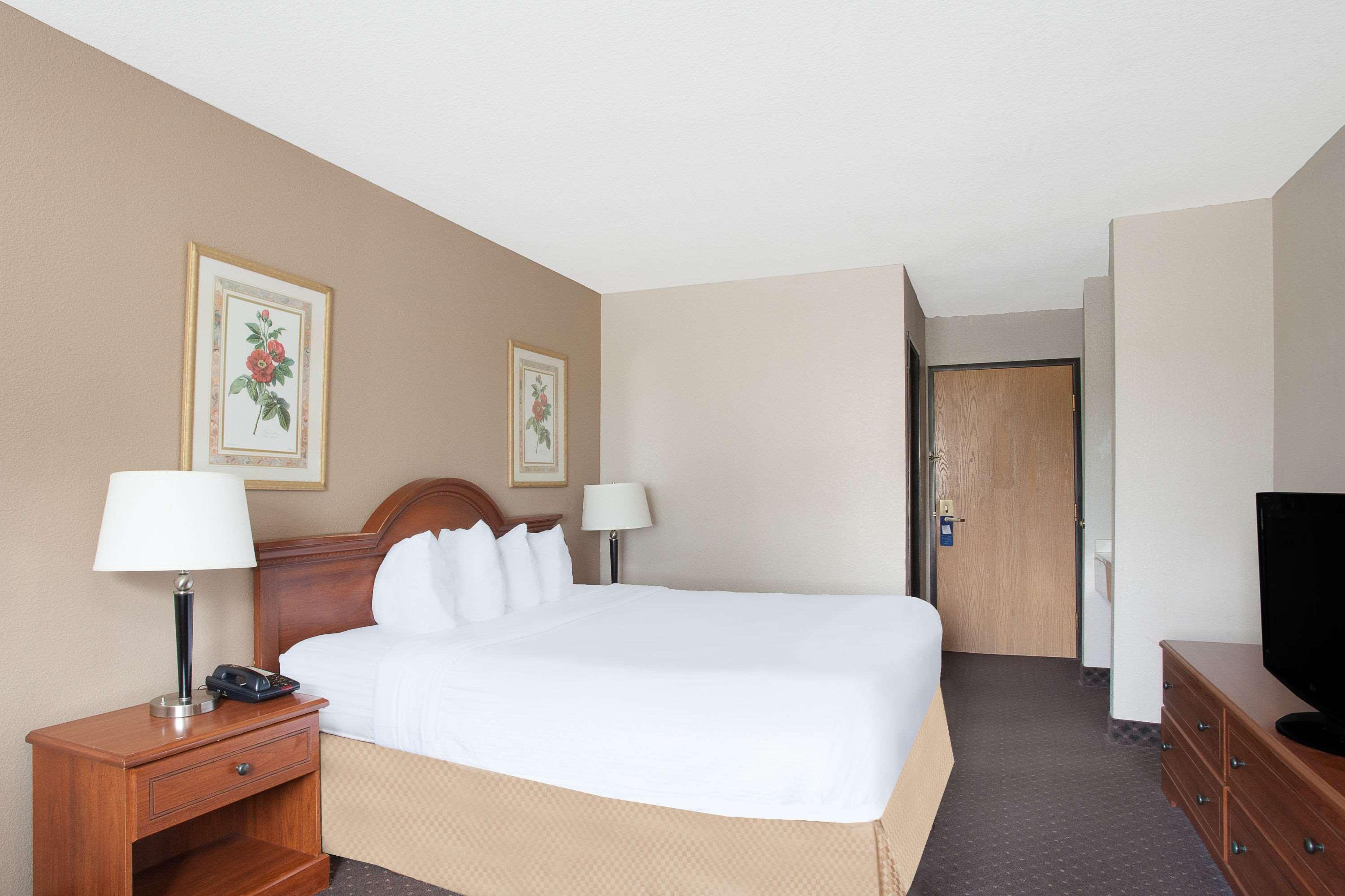 Room King Bed Non Smoking