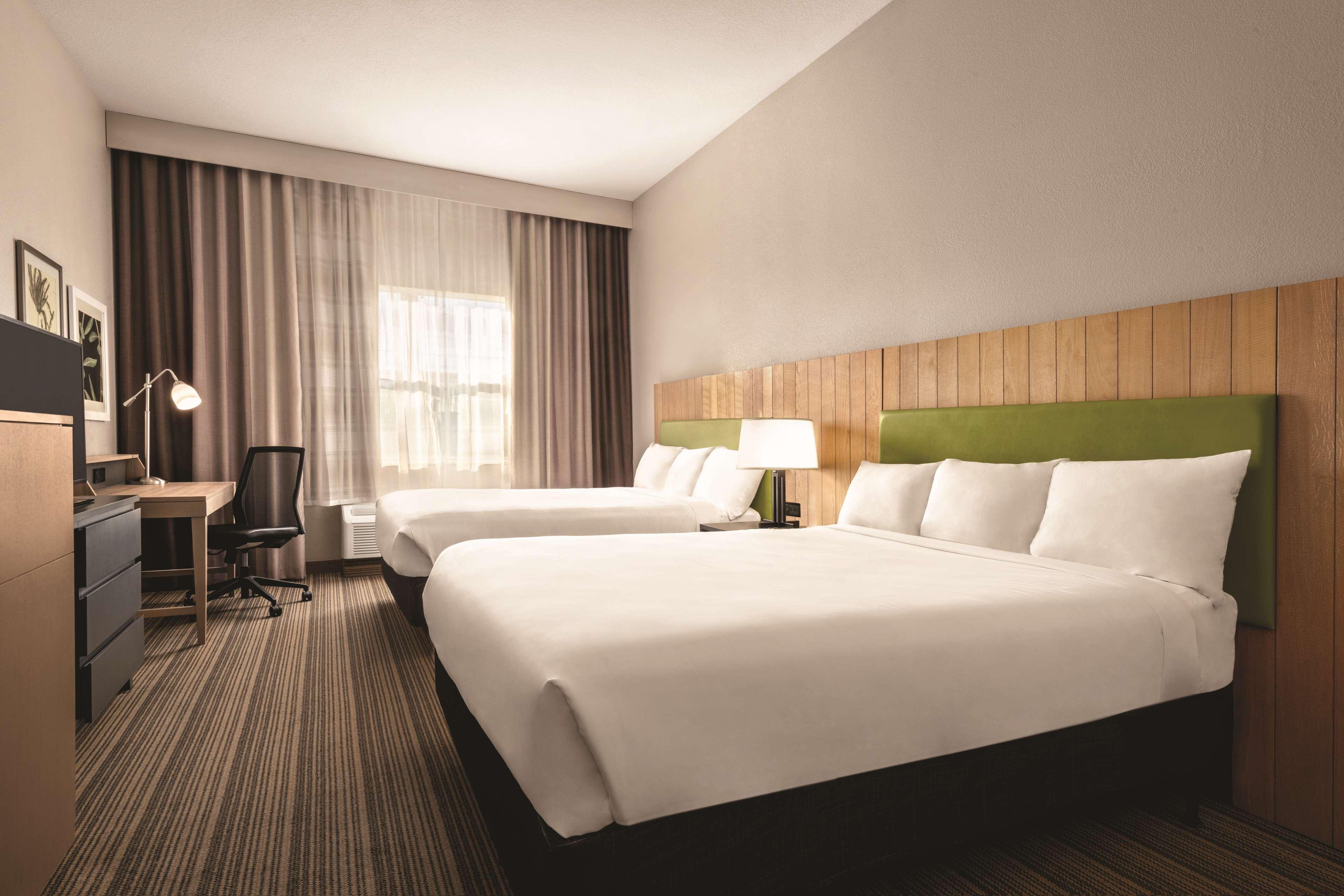 Studio Two Queen Beds