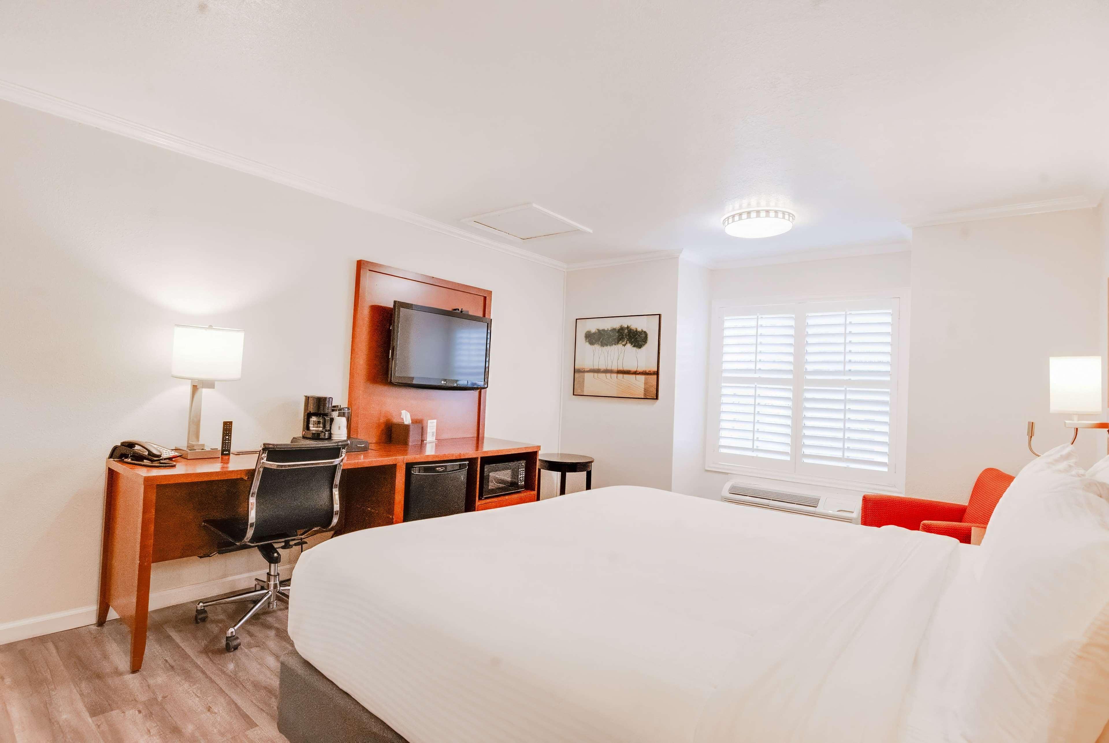 Room King Bed Non Smoking