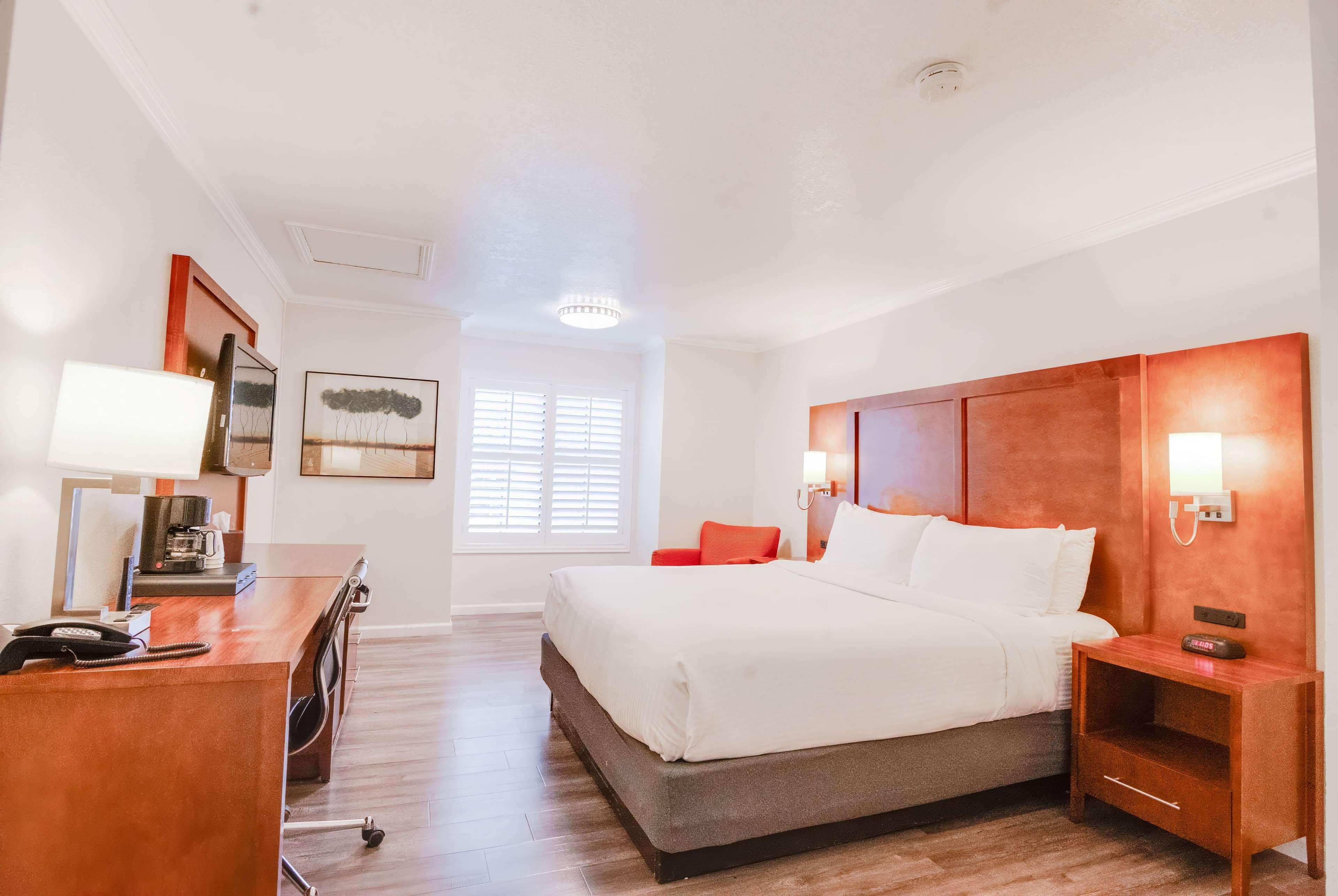 Room King Bed Non Smoking