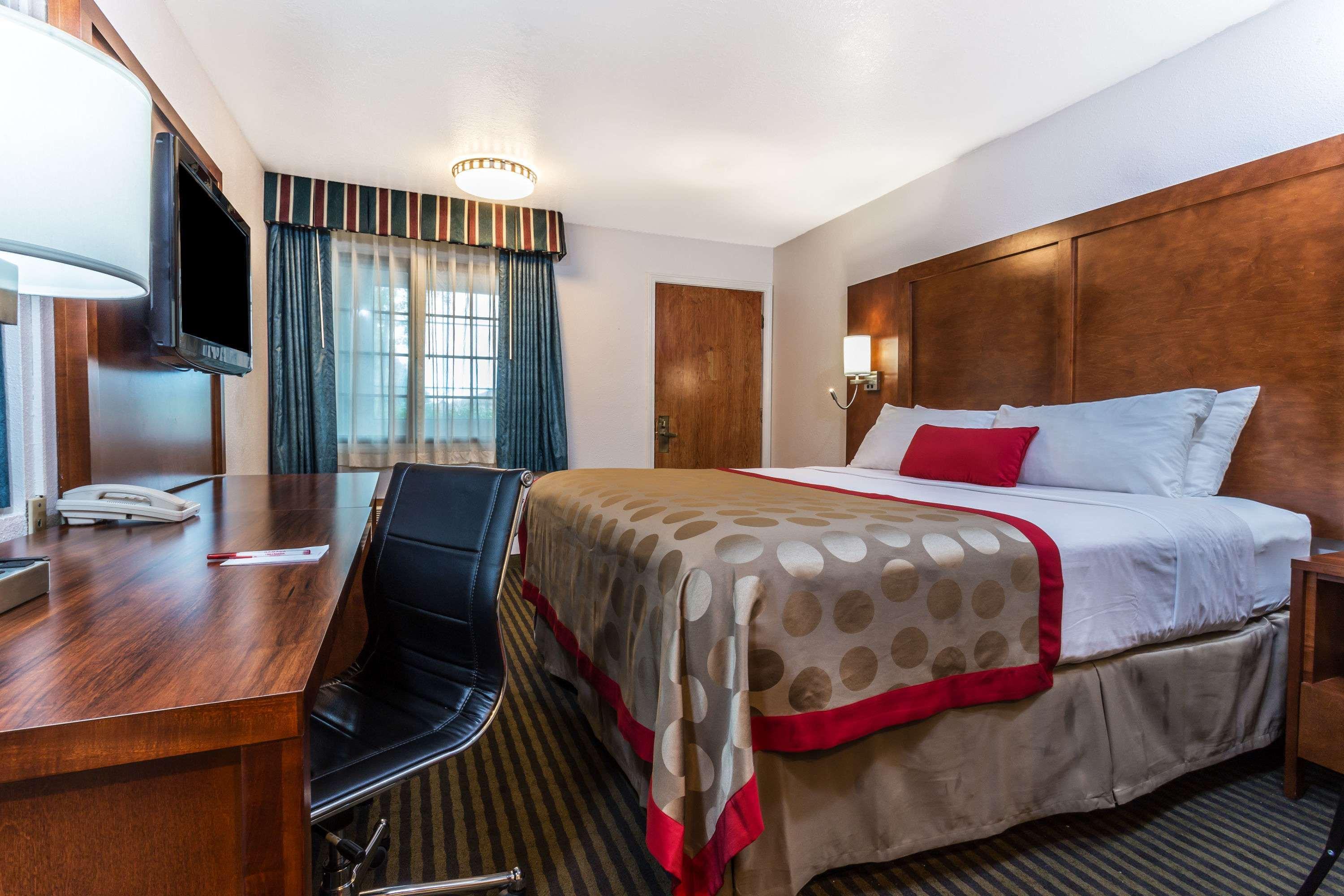 Double King Bed Non Smoking