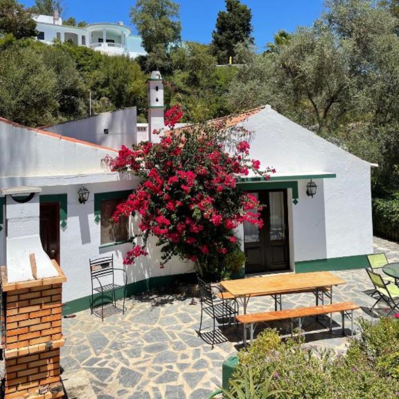 Apartment Garden View