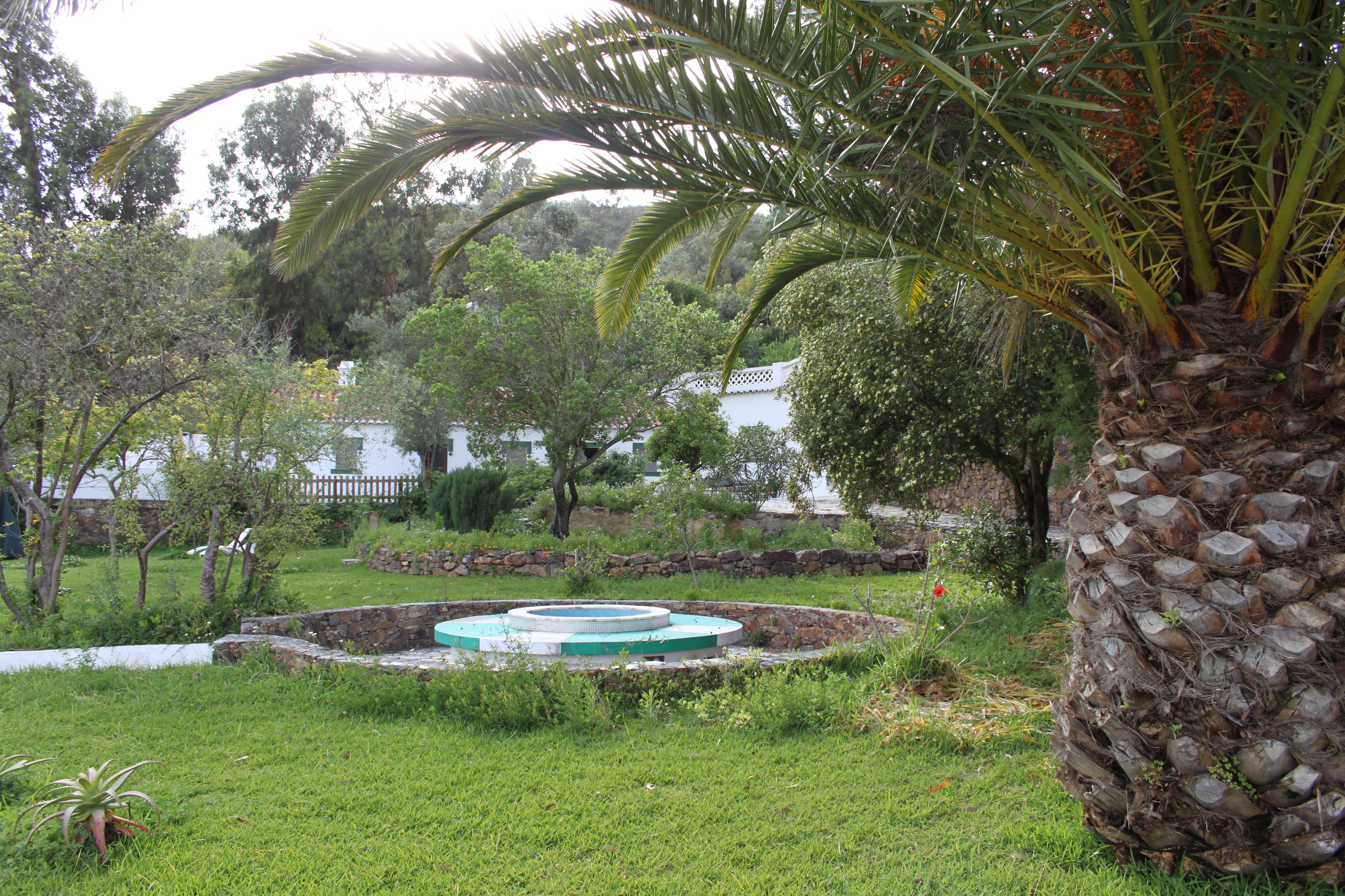 Apartment Garden View