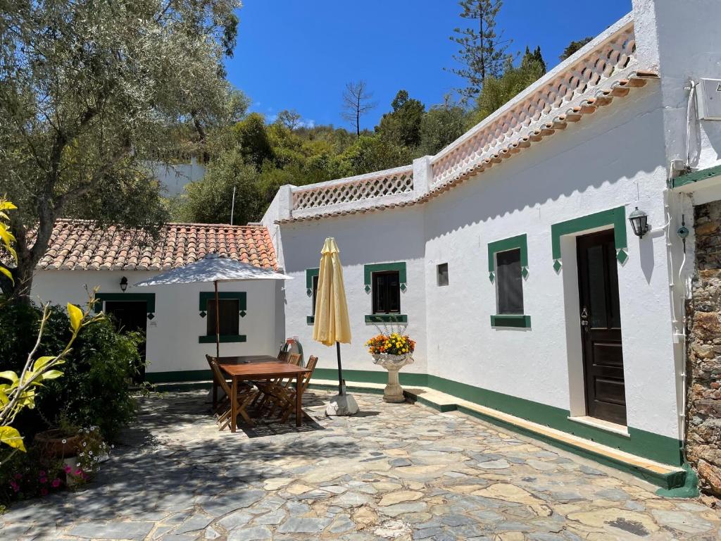 Apartment Garden View