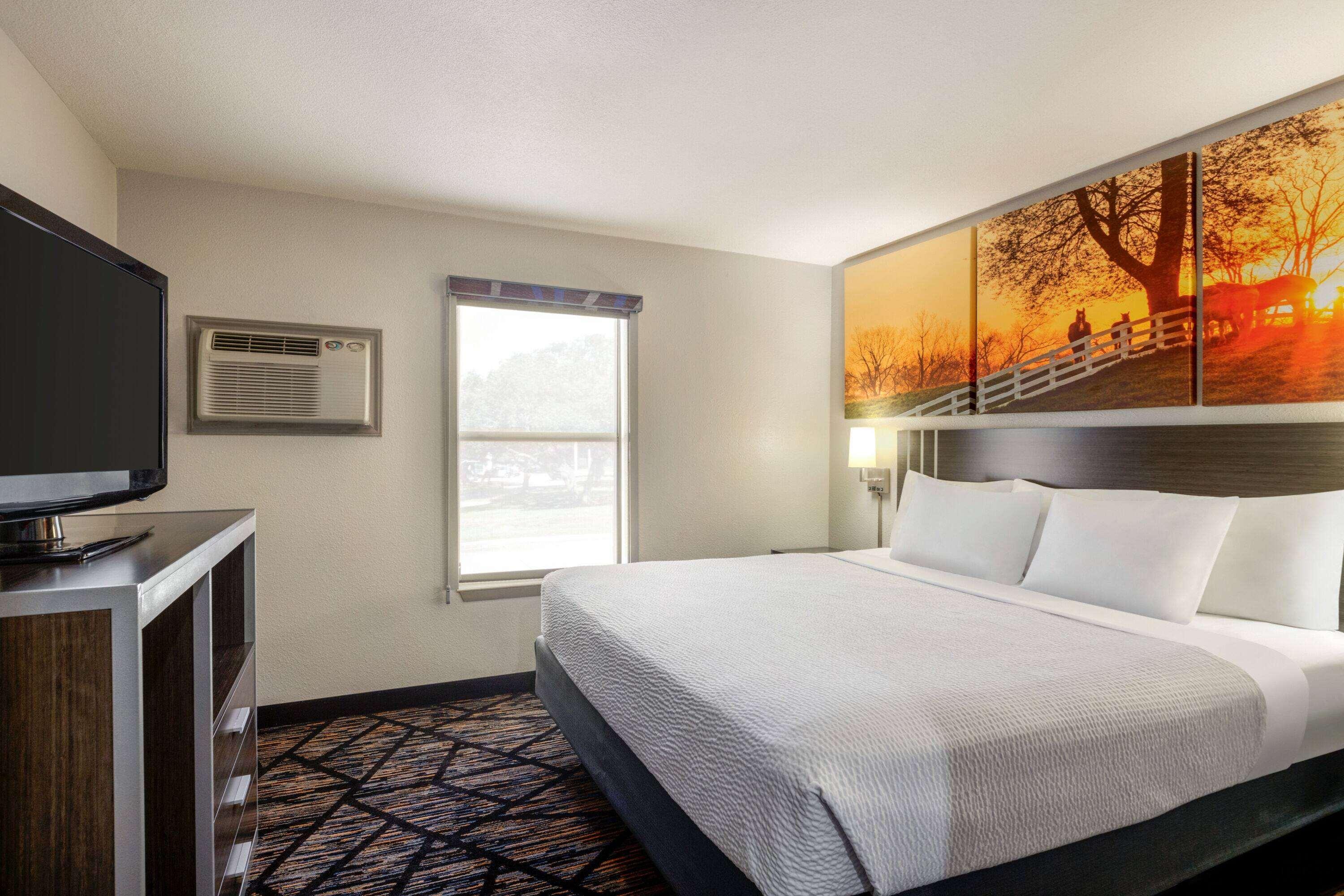 Suite King Bed Non Smoking