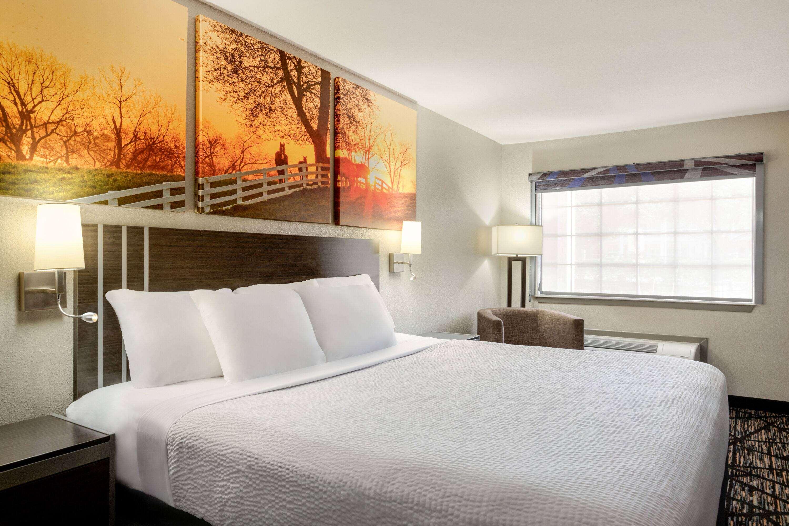 Triple King Size Bed