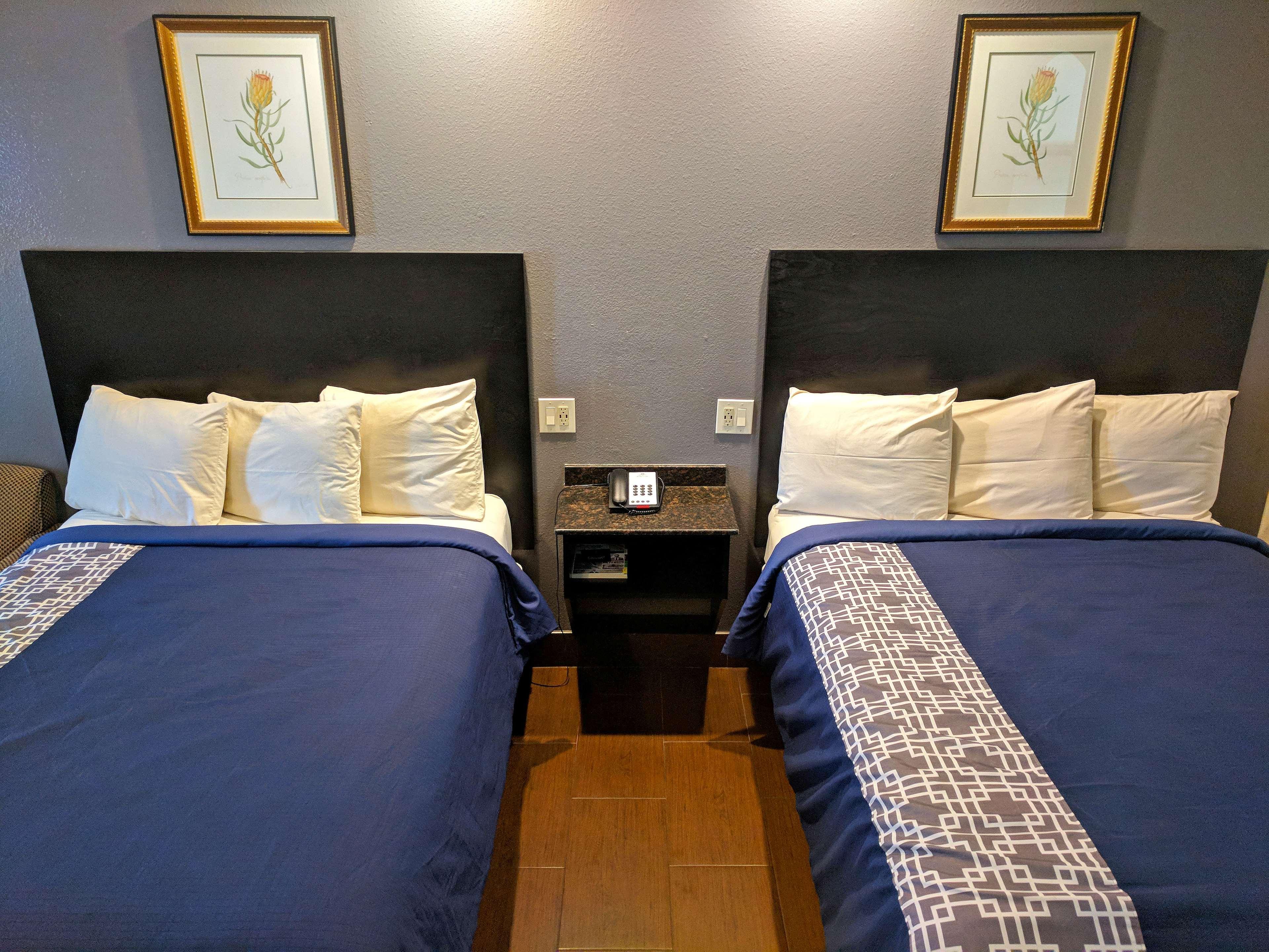 Double Two Queen Beds