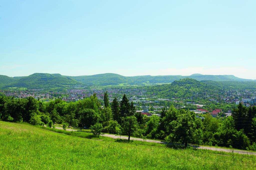 General View