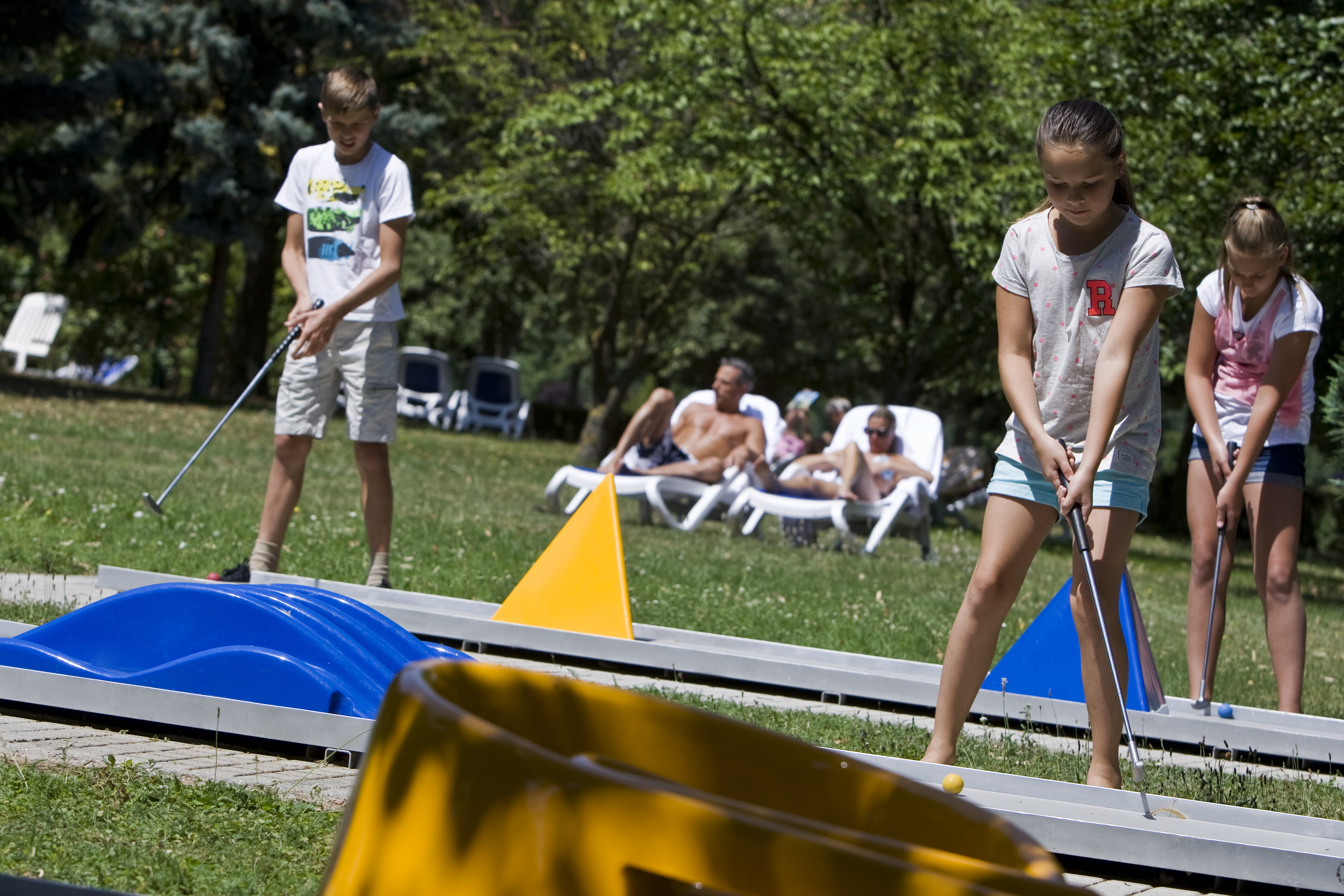 Sports and Entertainment