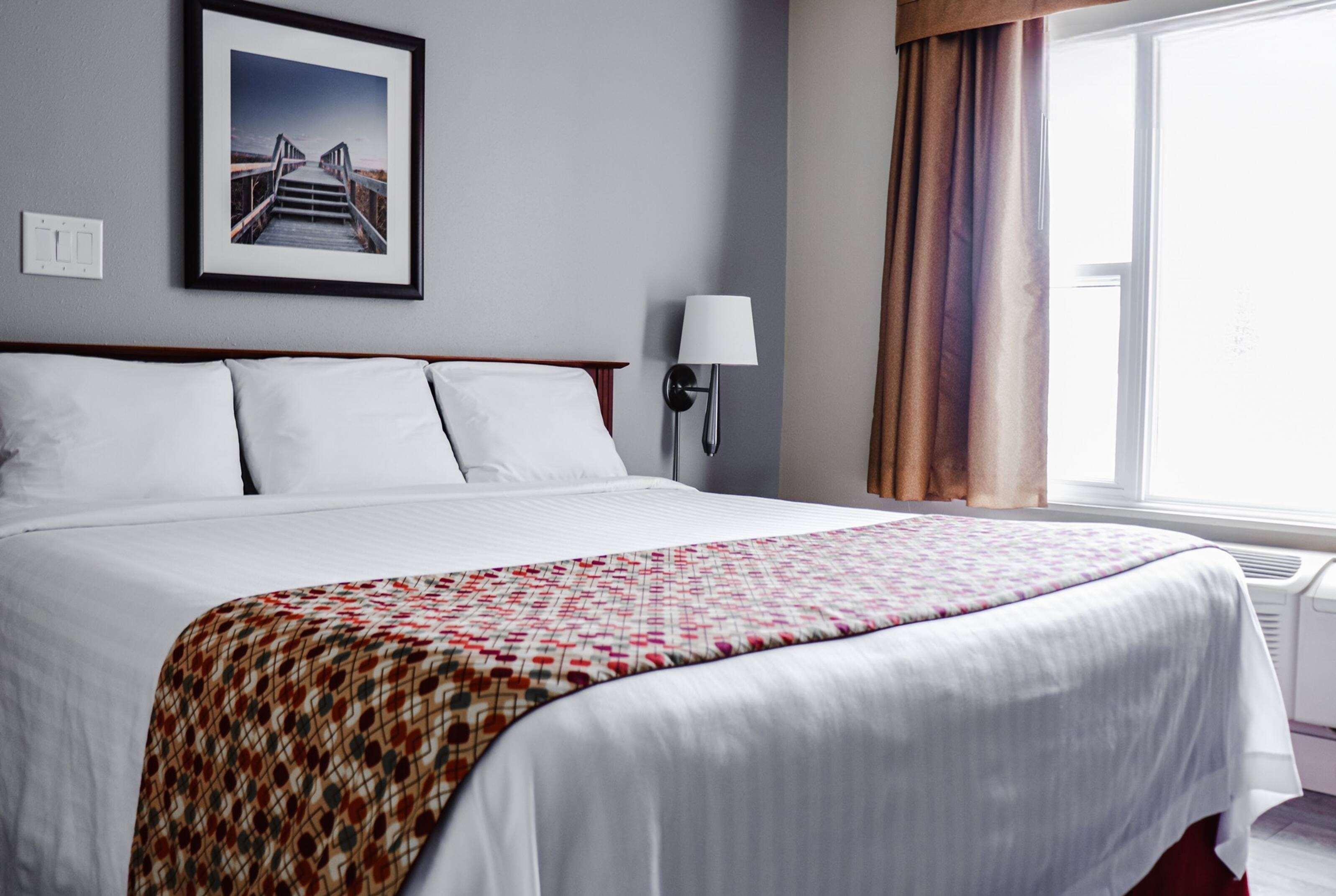 Double King Bed Non Smoking