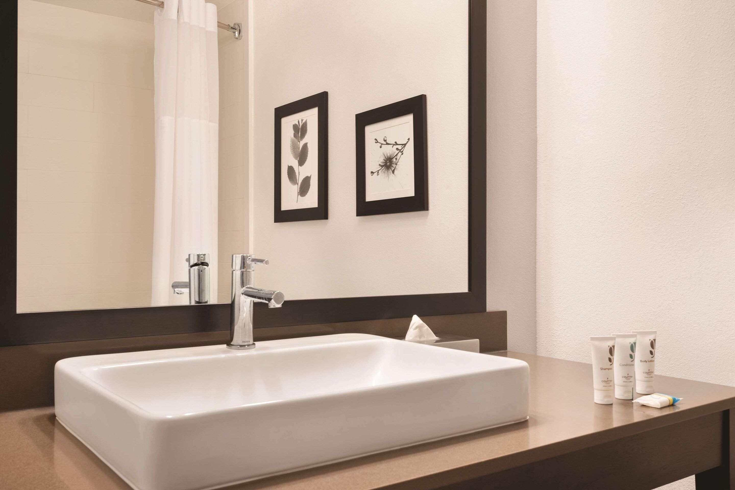 Suite Two Queen Beds