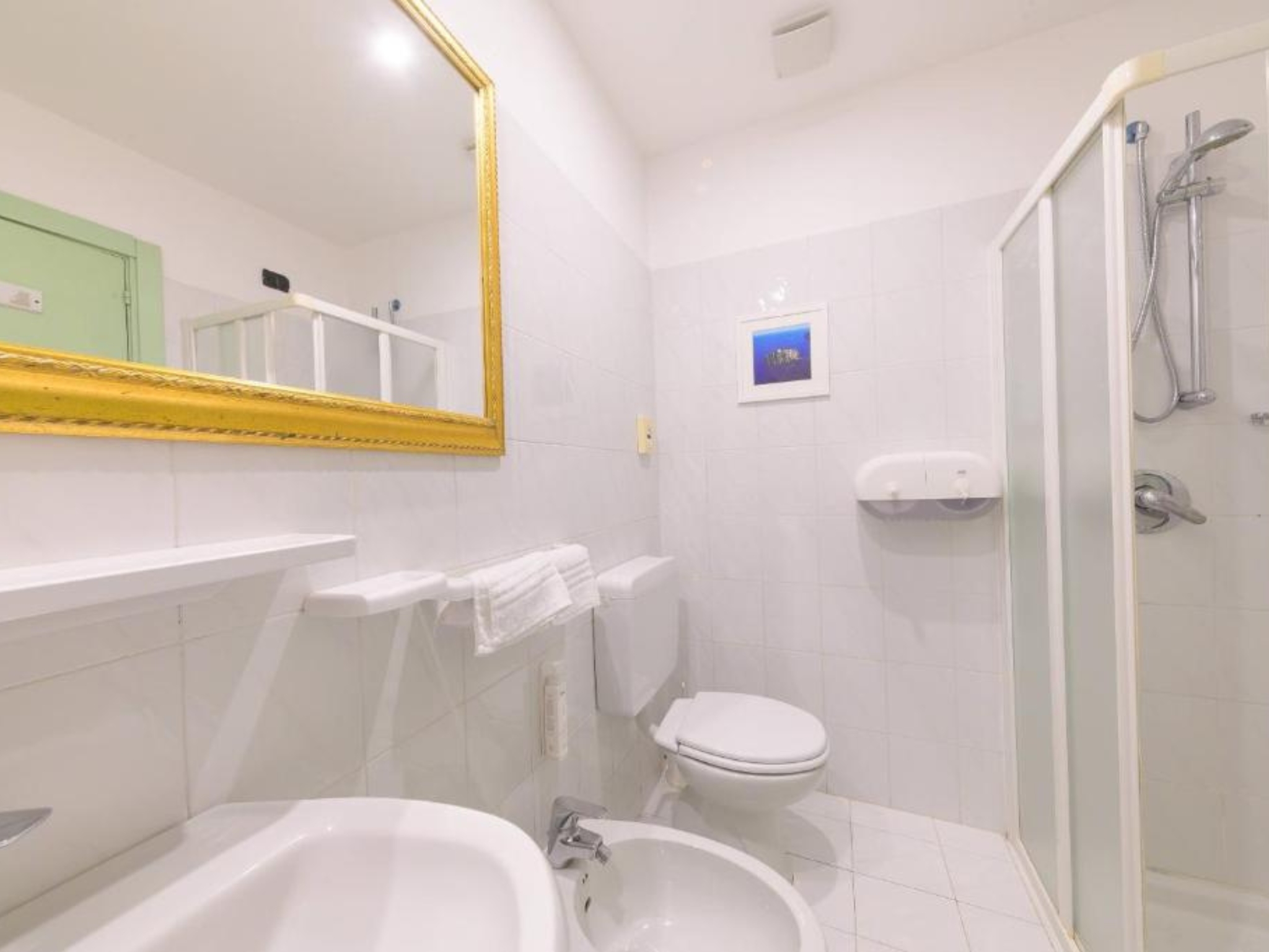 Double or Twin Basic