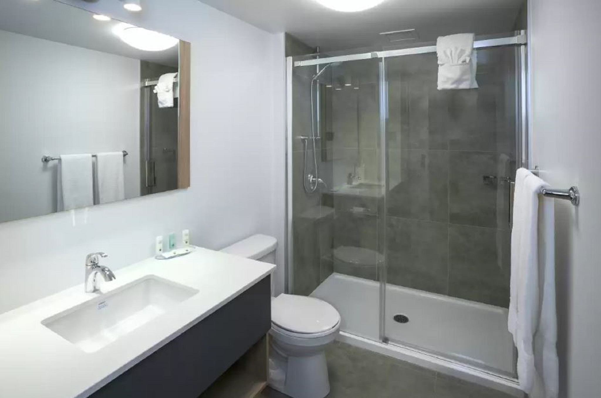 Room Accessible-two Queen Beds