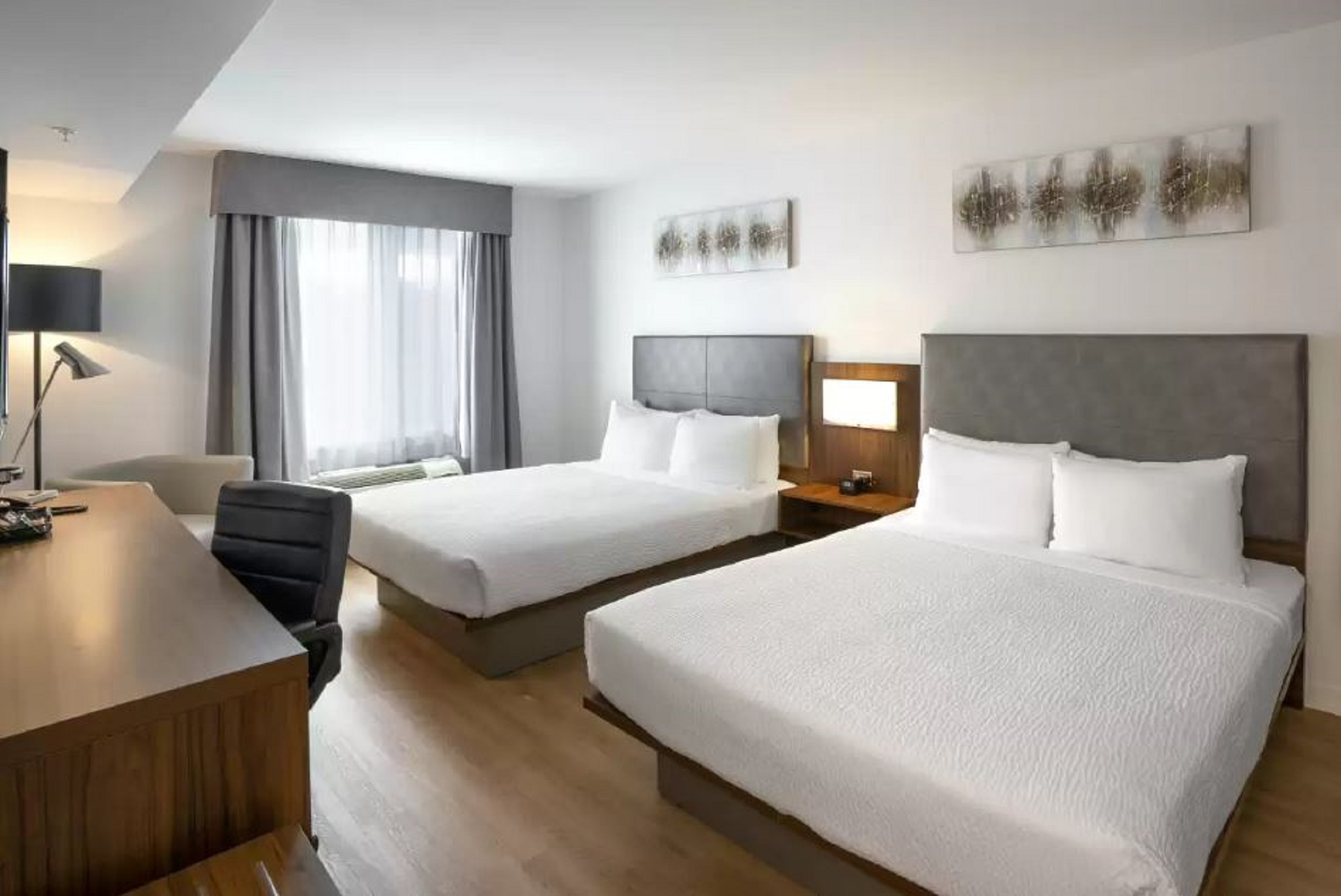 Room Accessible-two Queen Beds