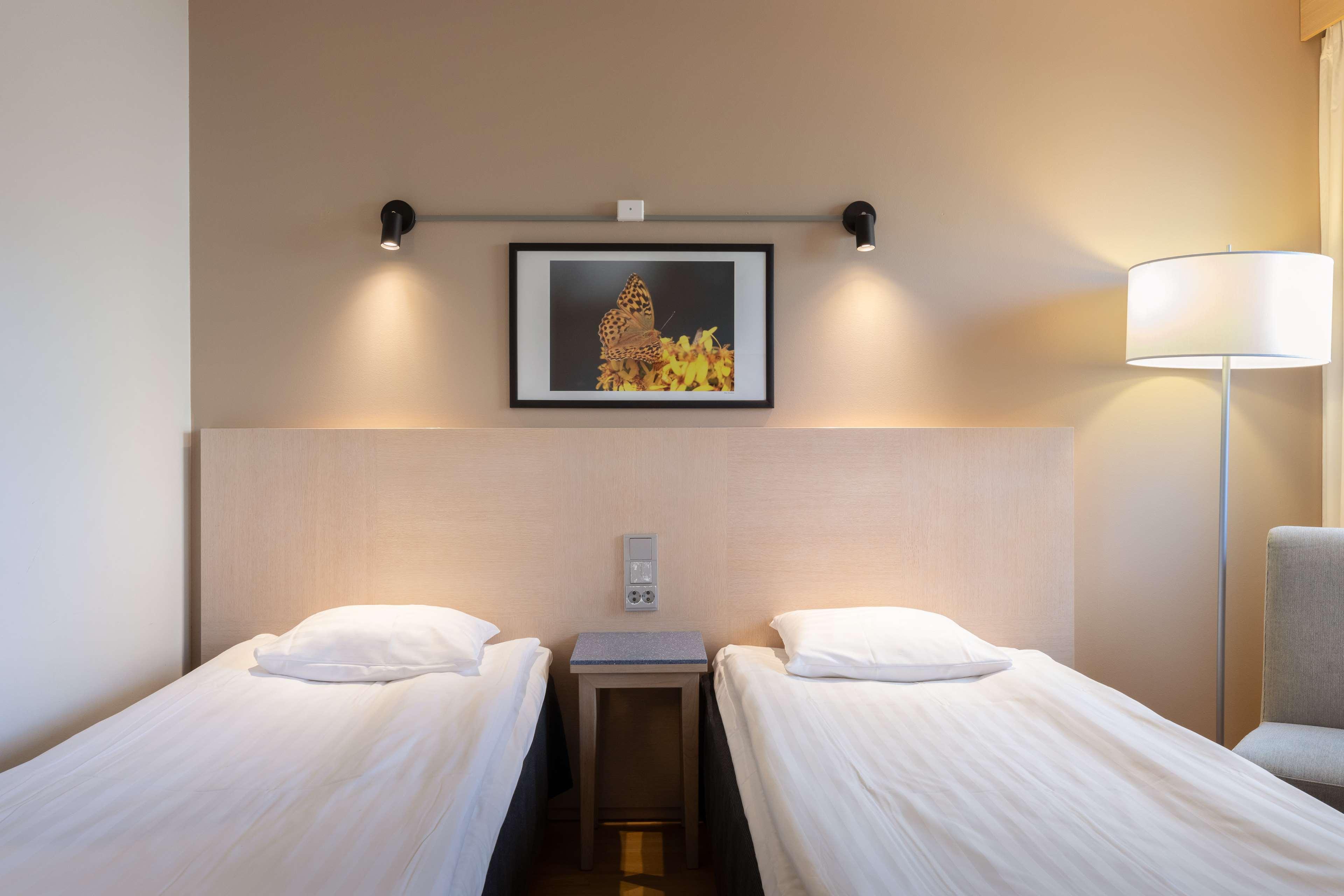 Family Room Standard