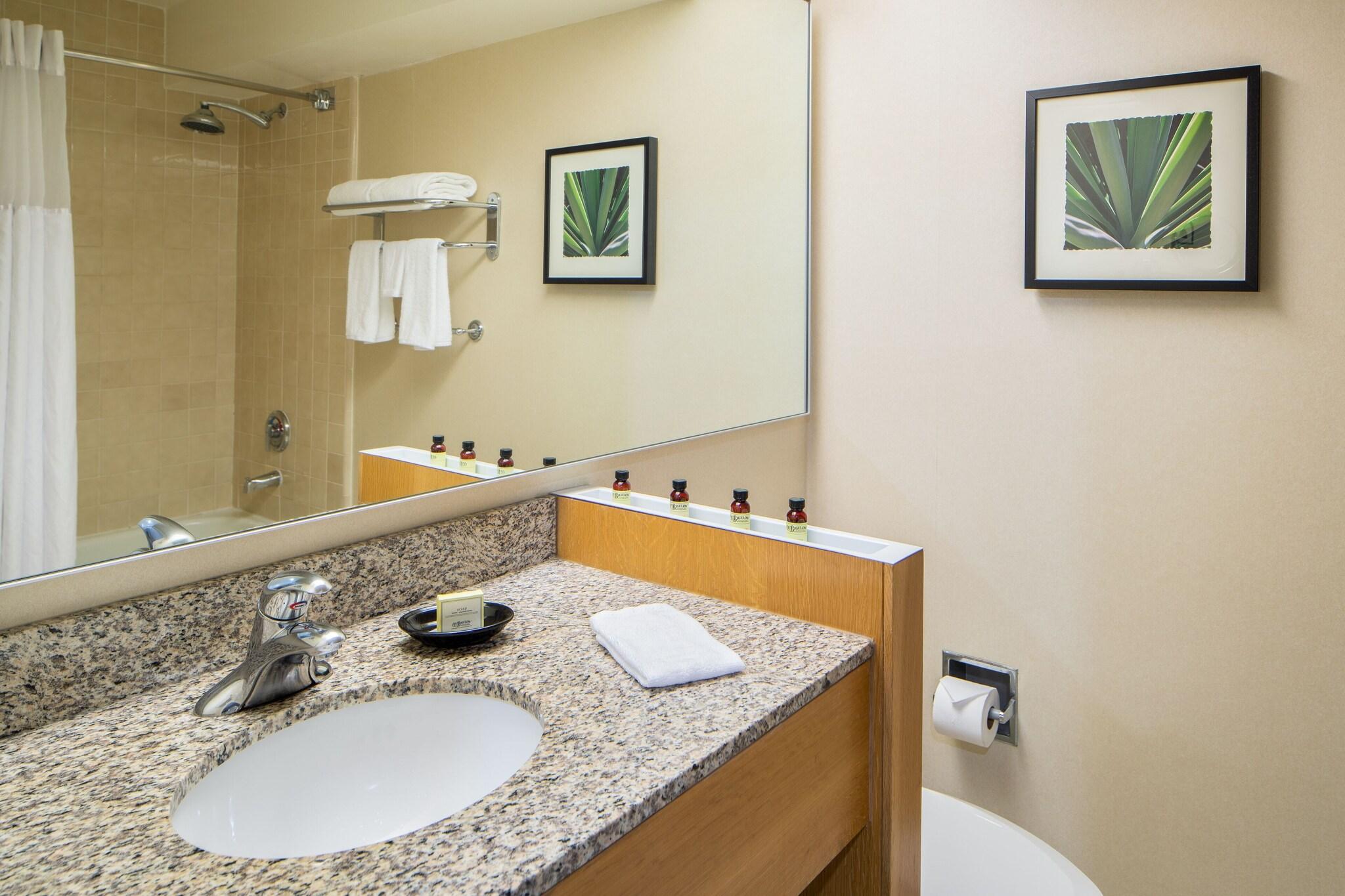 Double Deluxe King Bed