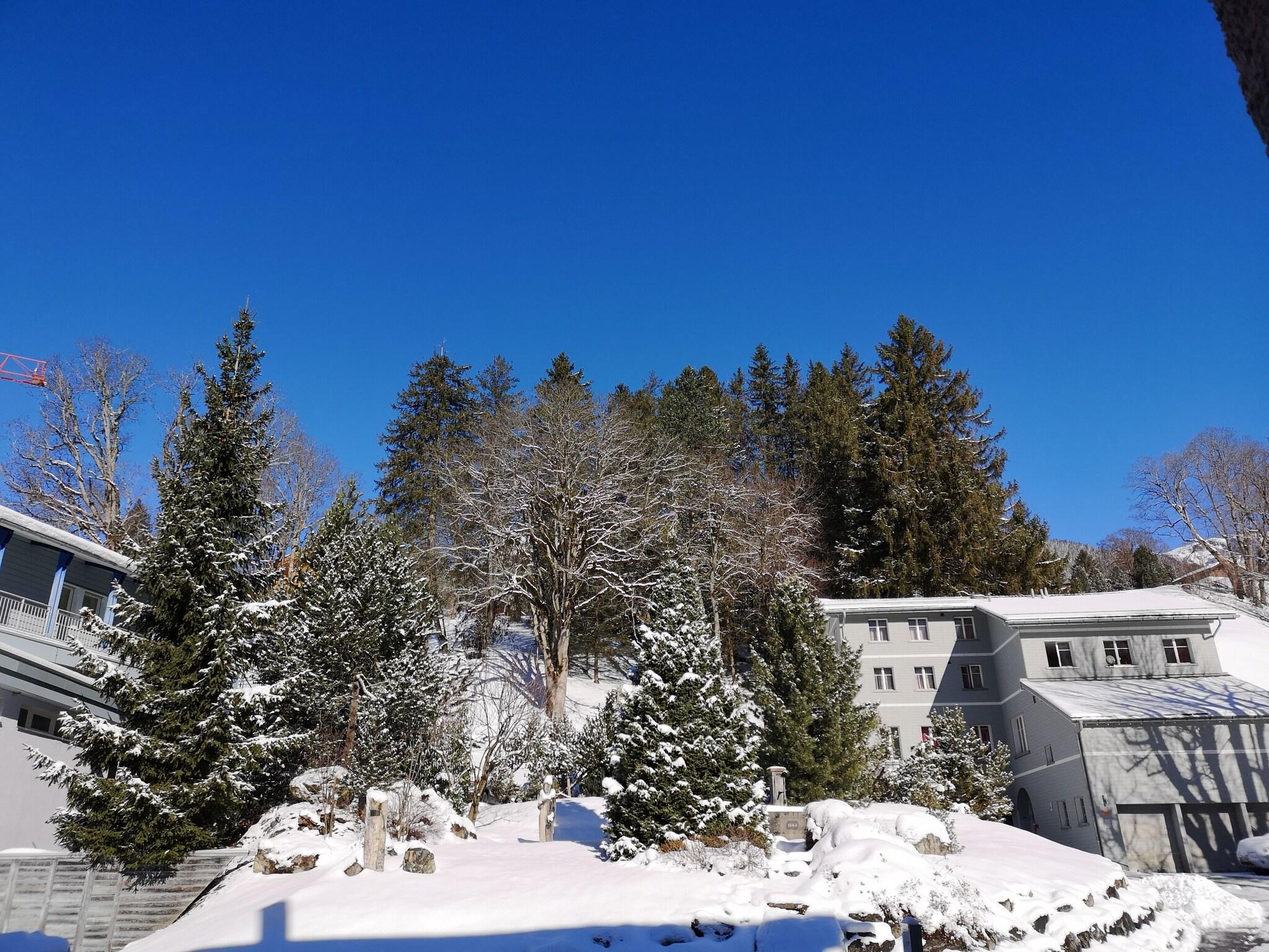 Twin Deluxe Garden View