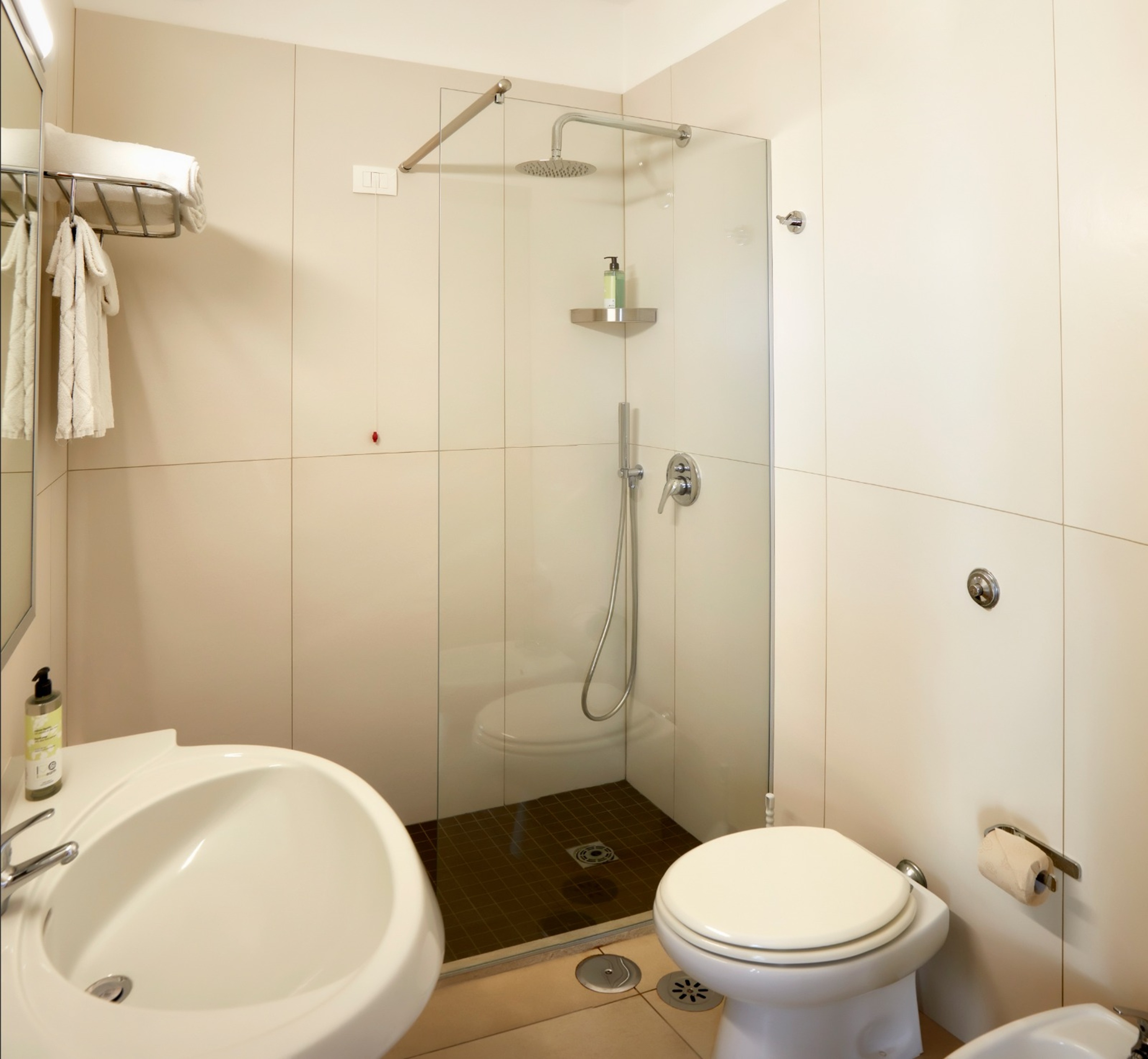 Double or Twin Standard