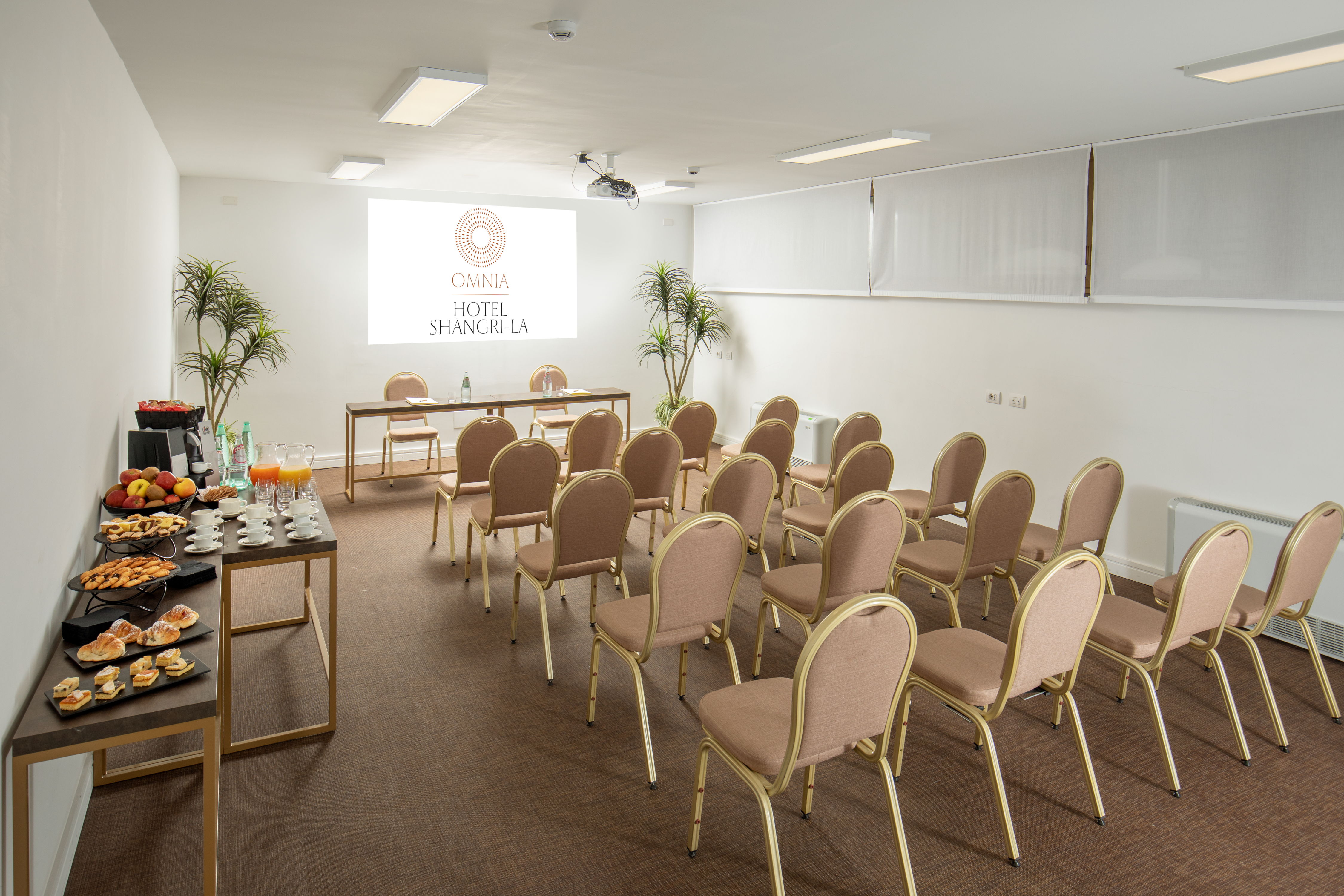 Conferences