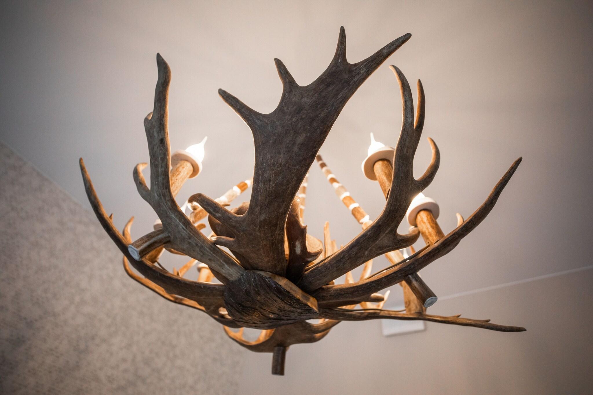 Suite Queen Size Bed