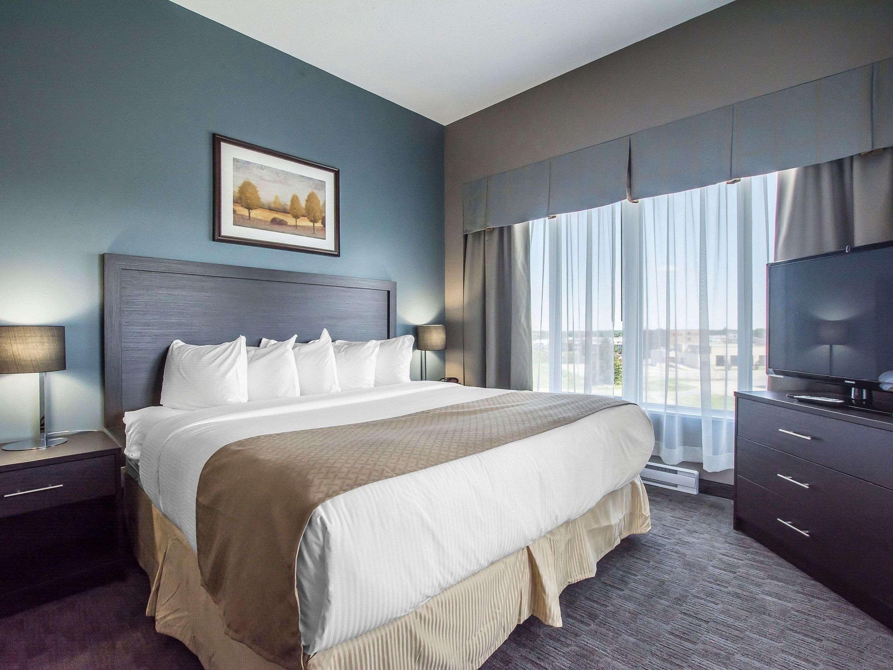 Suite King Bed Non Smoking