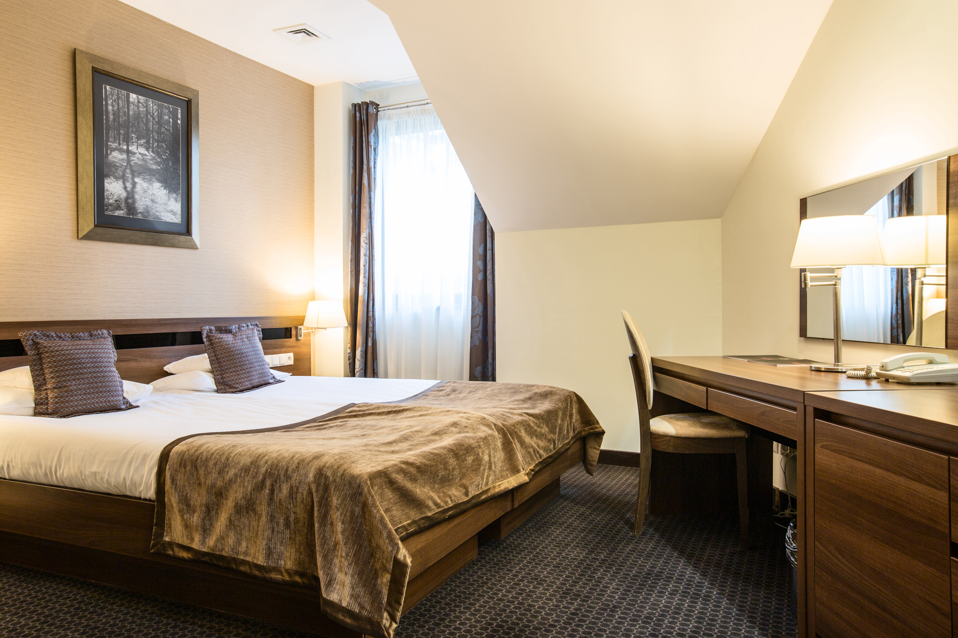 Double or Twin Standard