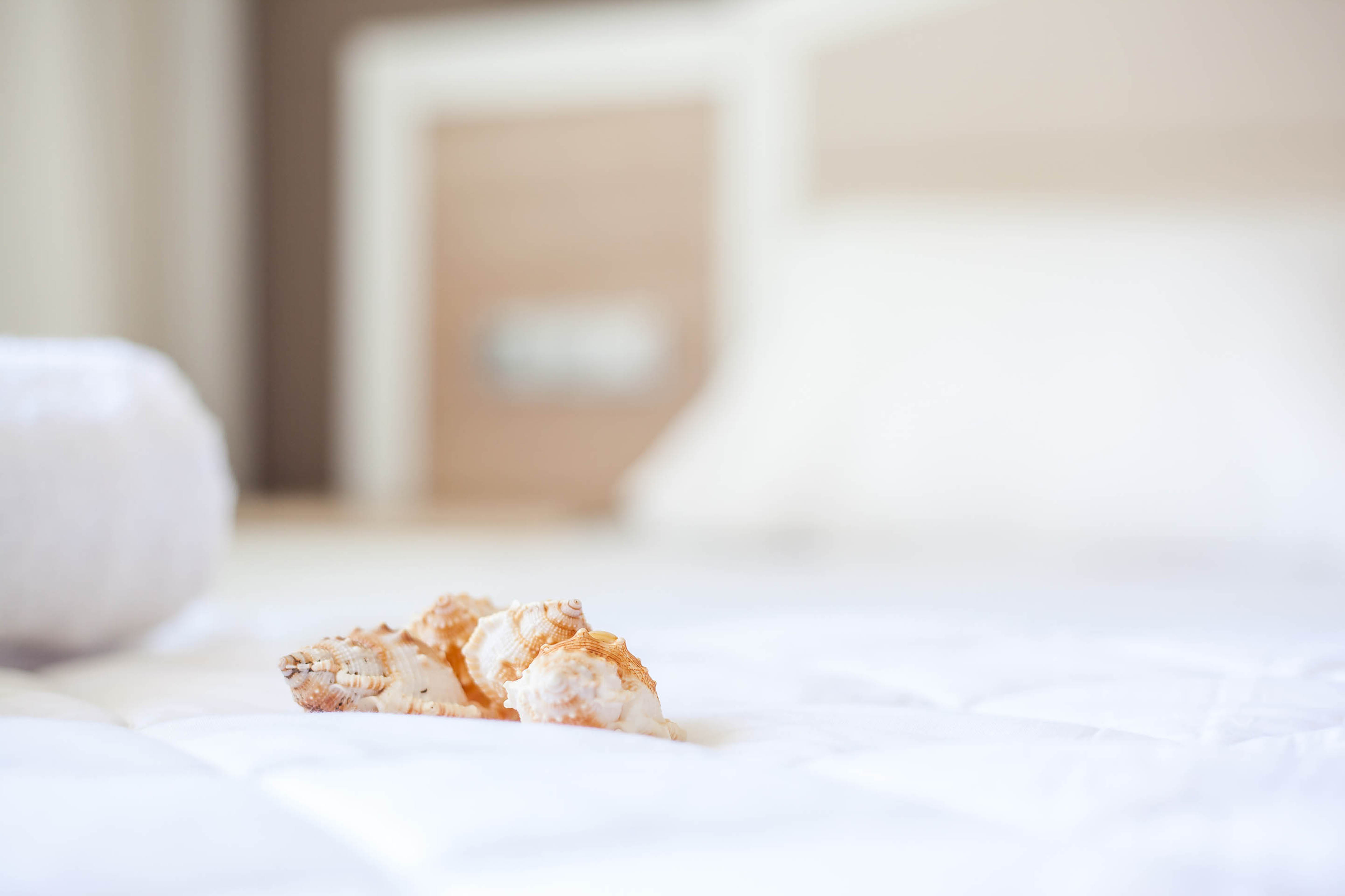 Double or Twin Deluxe Sea View