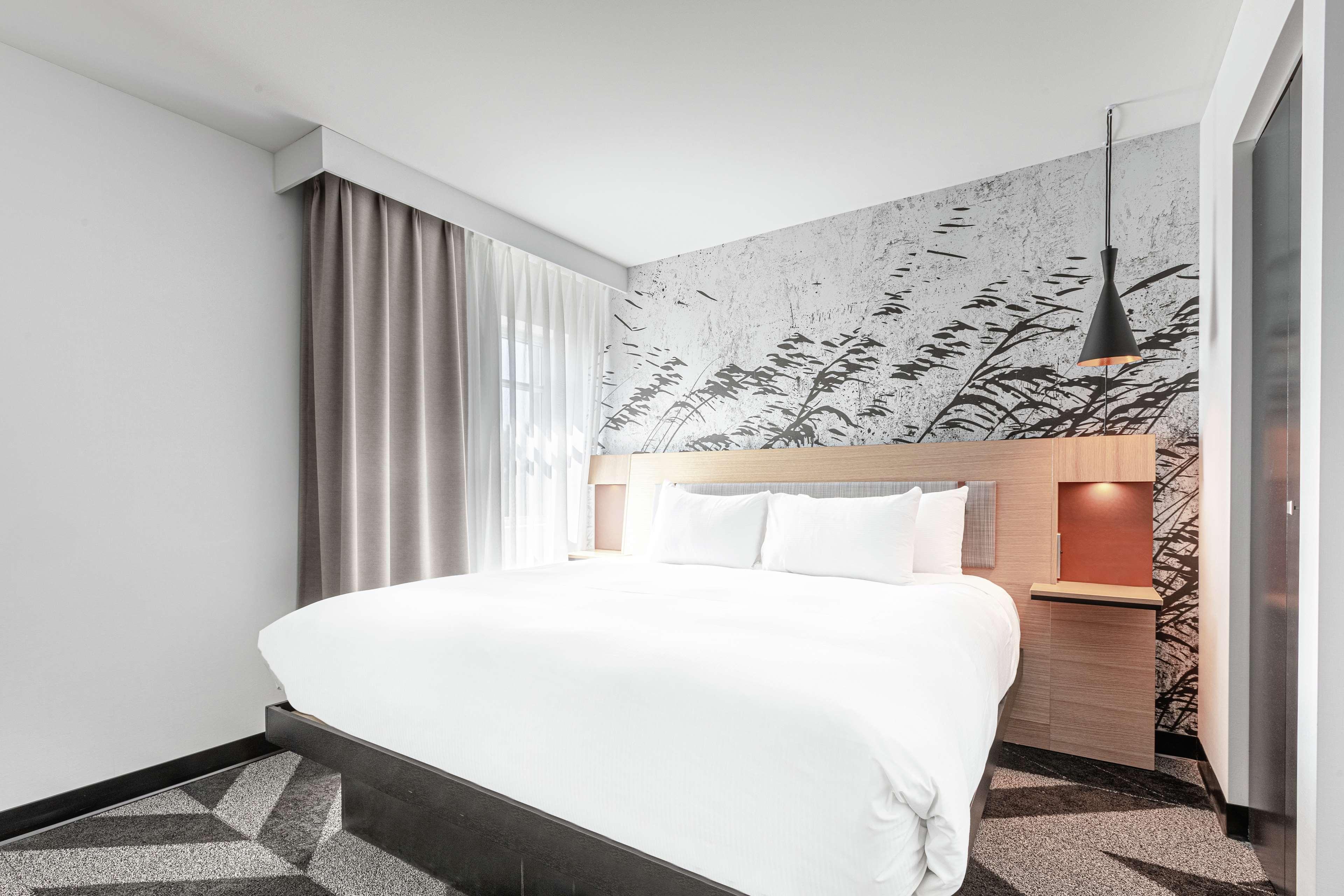 Suite King Bed One Bedroom 