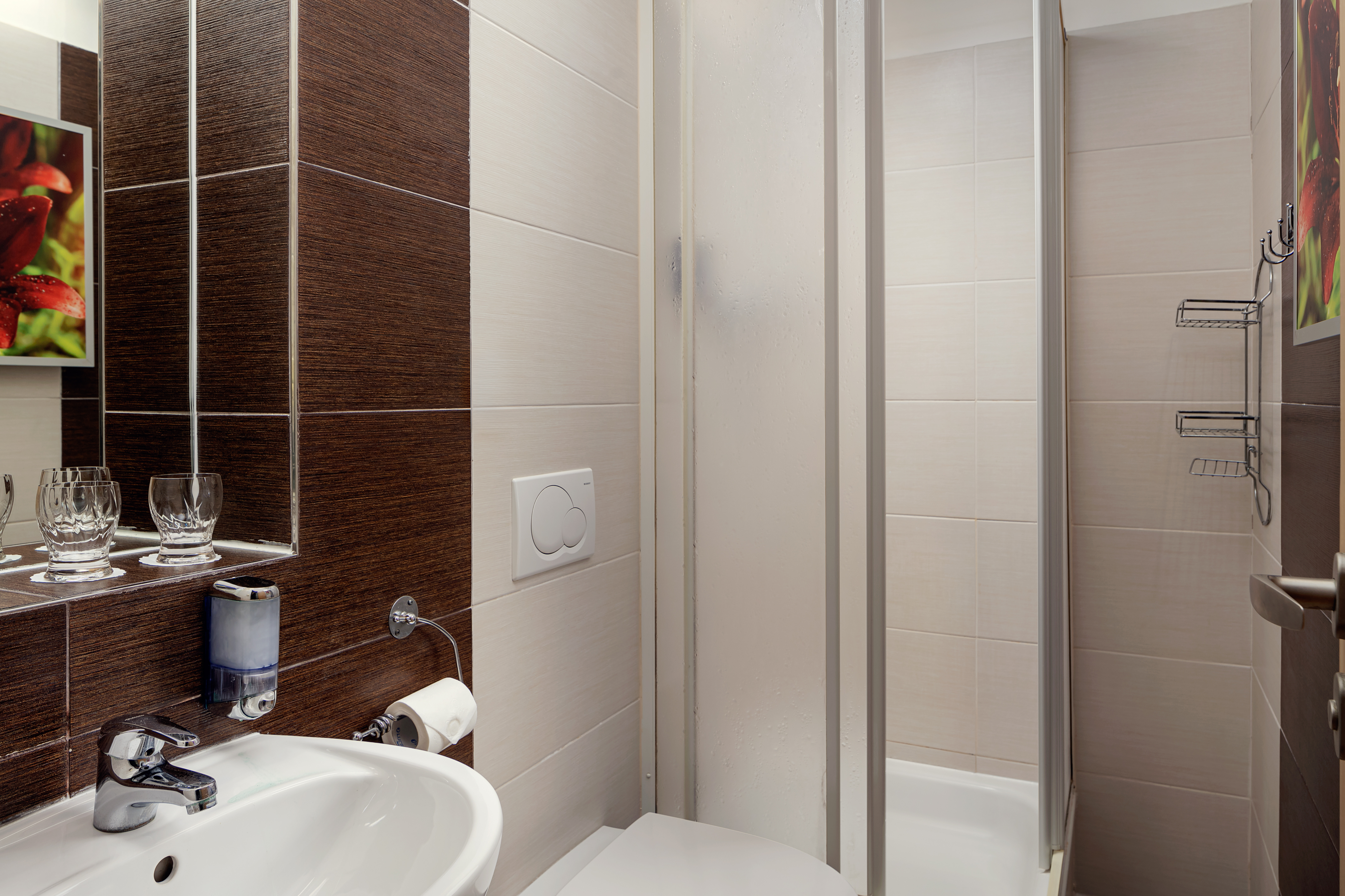 Double or Twin Standard