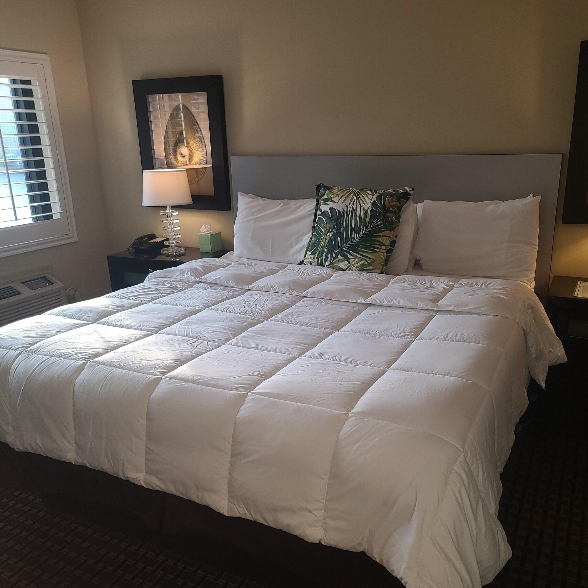 Suite King Bed One Bedroom 