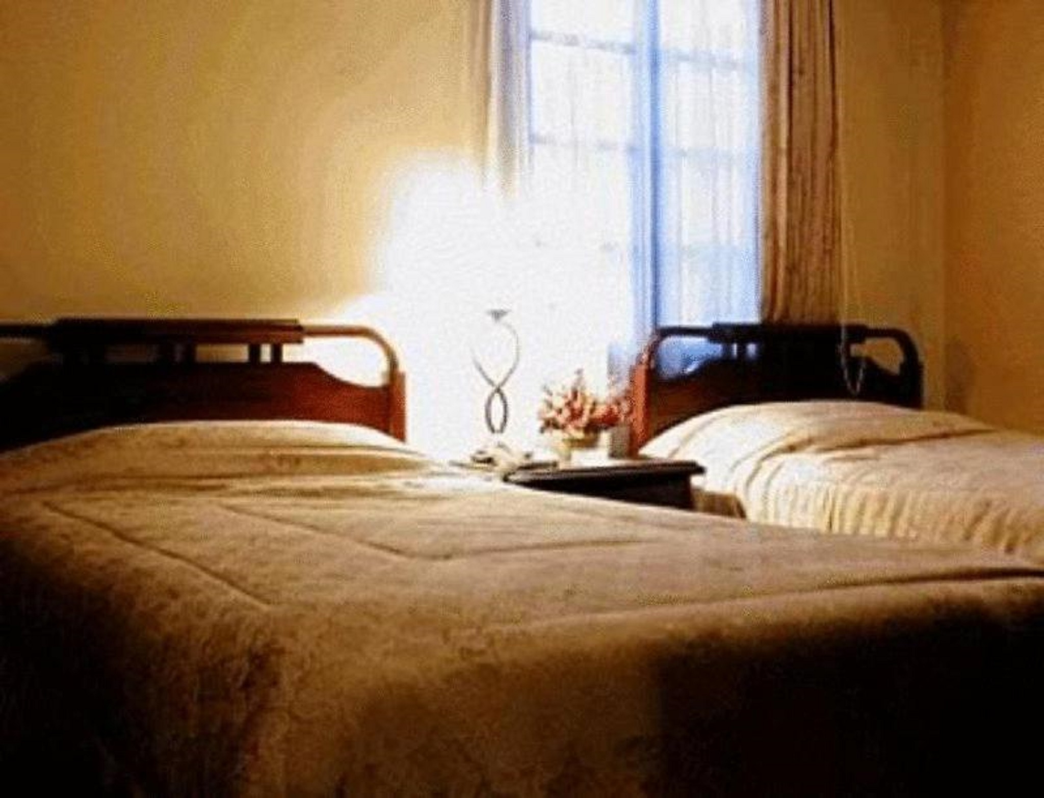 Double or Twin Basic